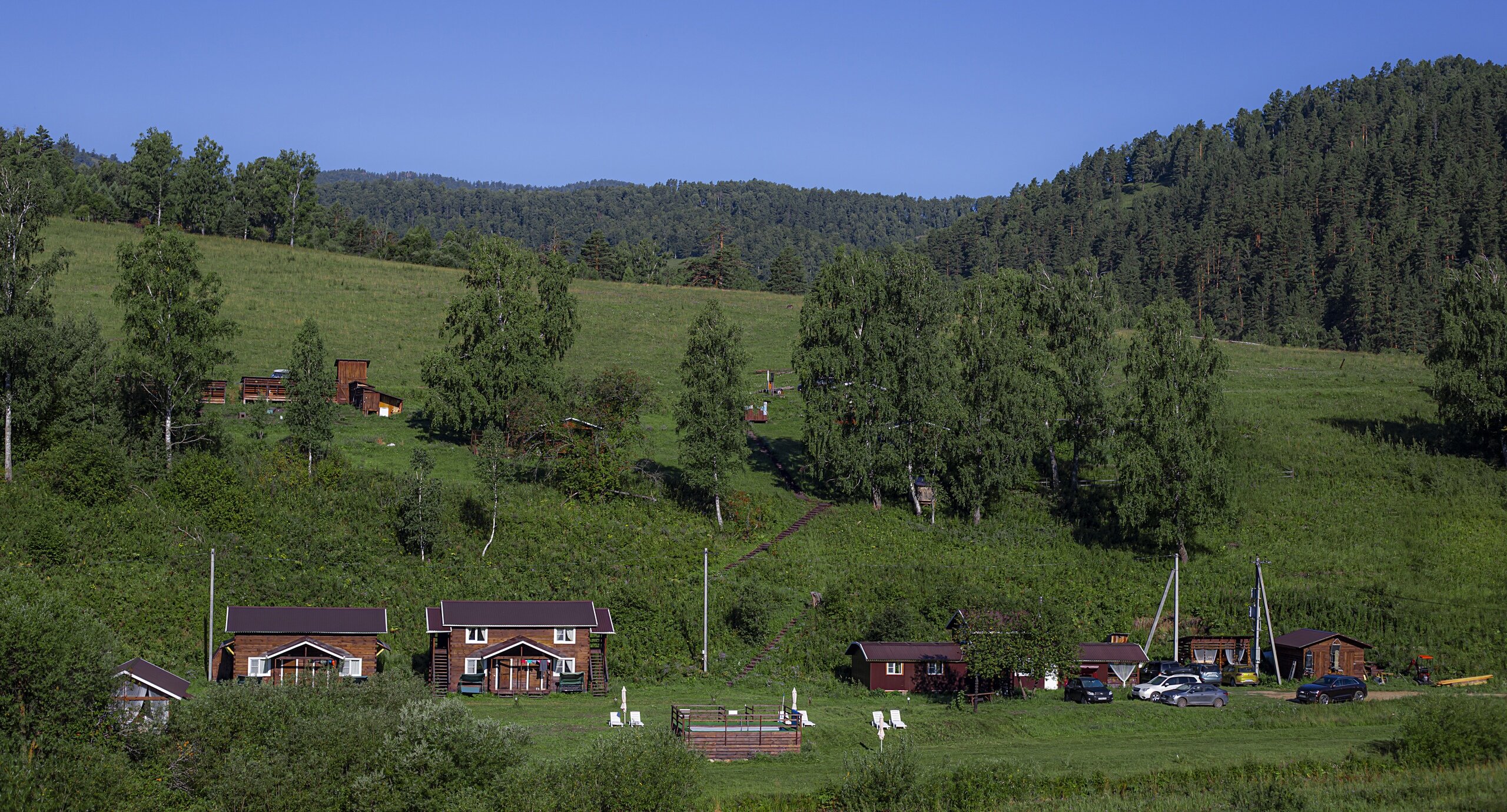 Фото Большие Коты