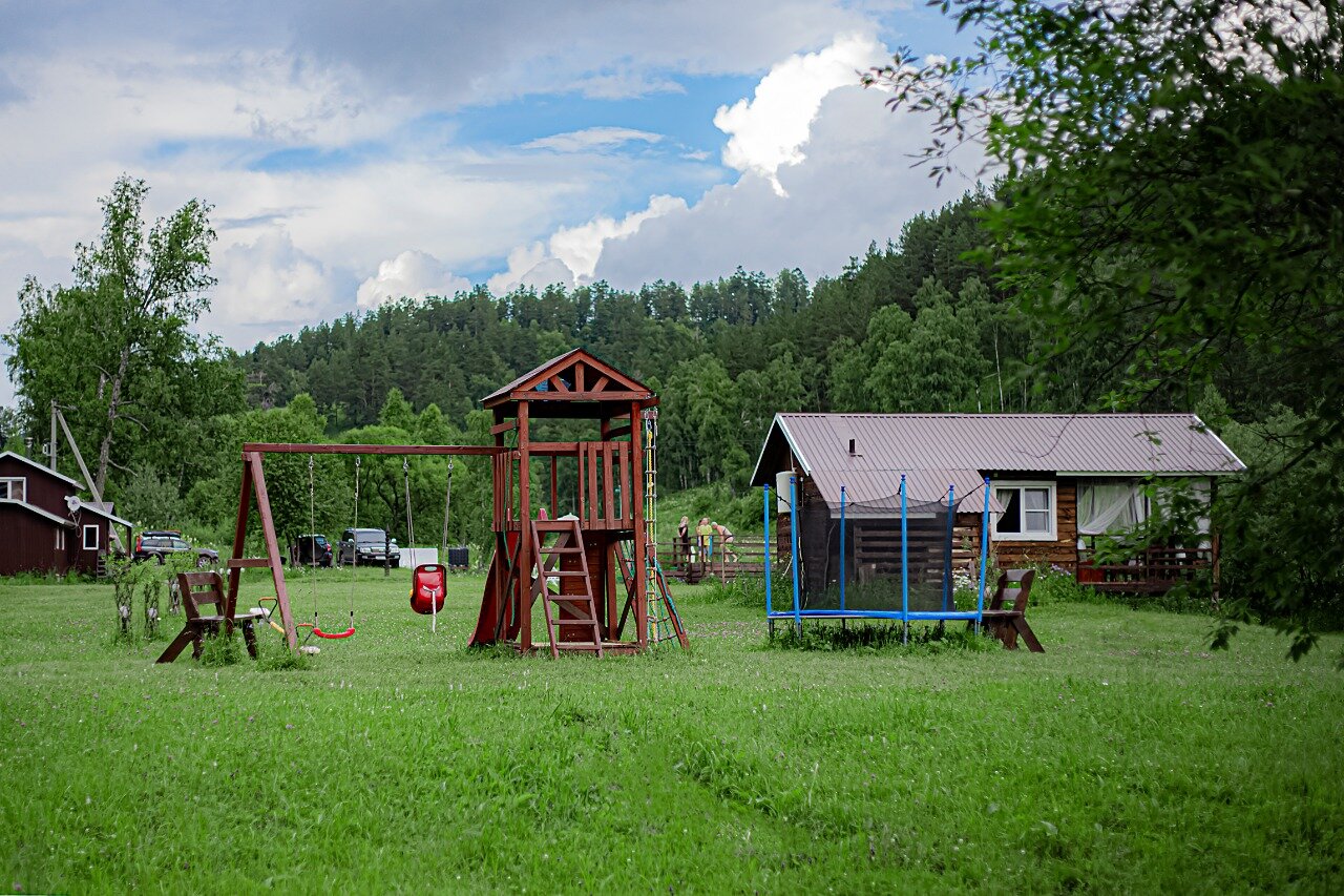 Фото Большие Коты