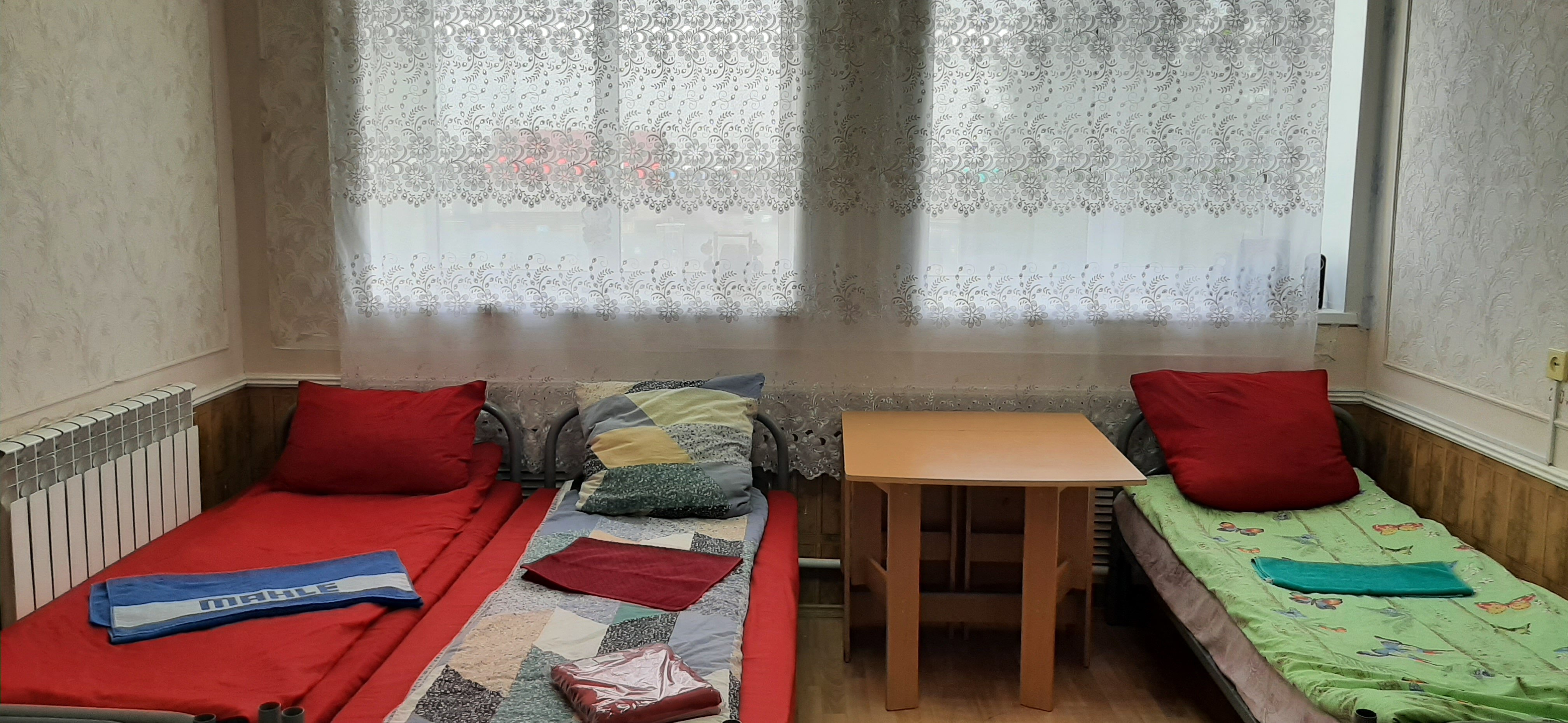 Фото Дельфин