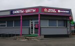 ПроСалют (ул. Аксакова, 30, Оренбург), фейерверки и пиротехника в Оренбурге
