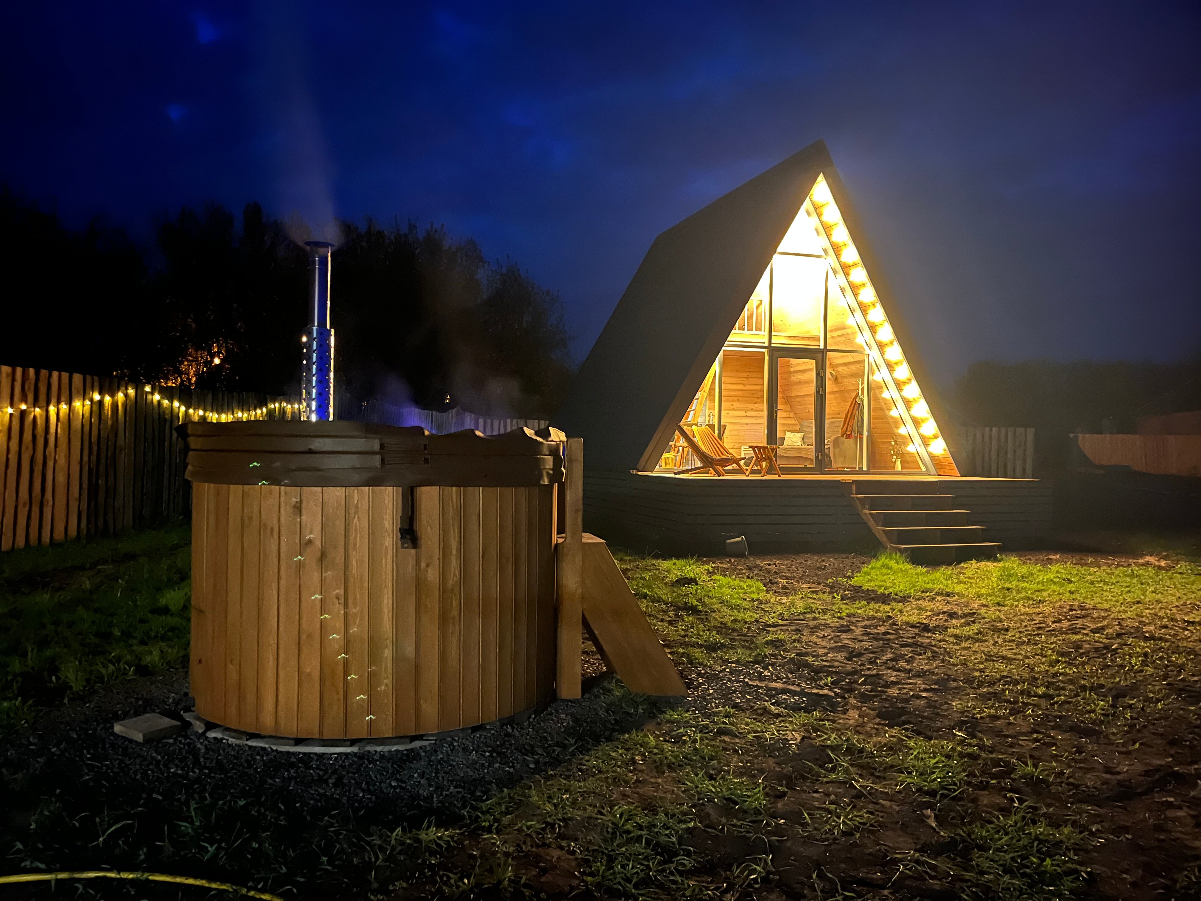 Фото Камыши