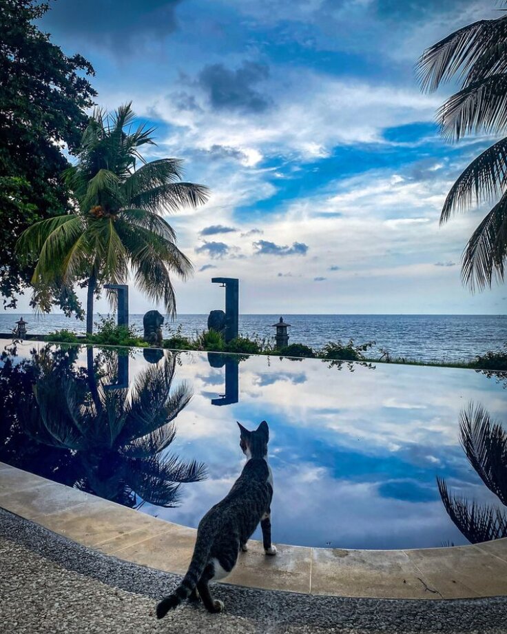 Фото Bondalem Beach Club