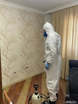 DeZ-Profi (Tbel Abuseridze Street, 13B), disinfection, disinsection, deratization
