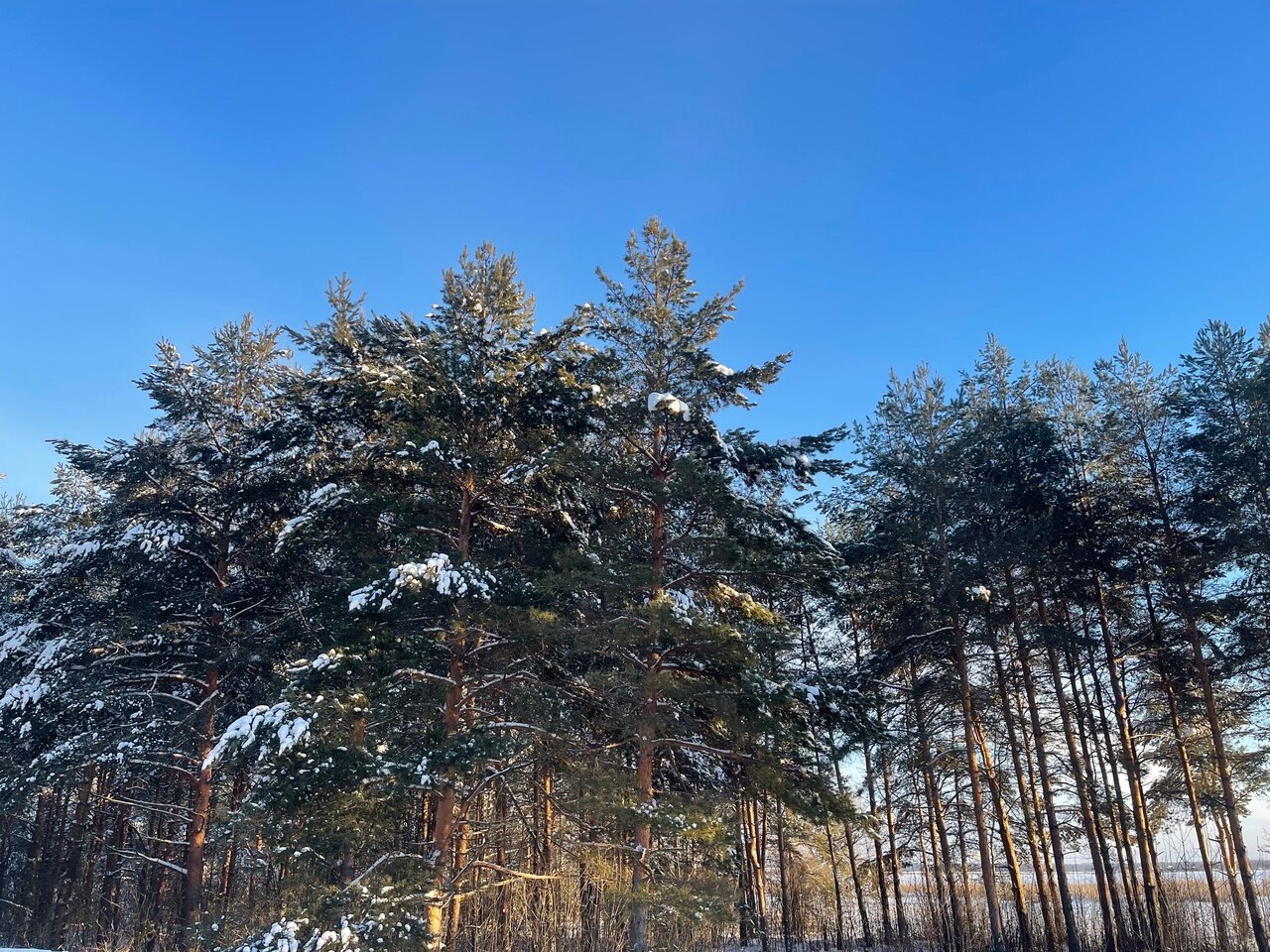 Фото Дом охотника