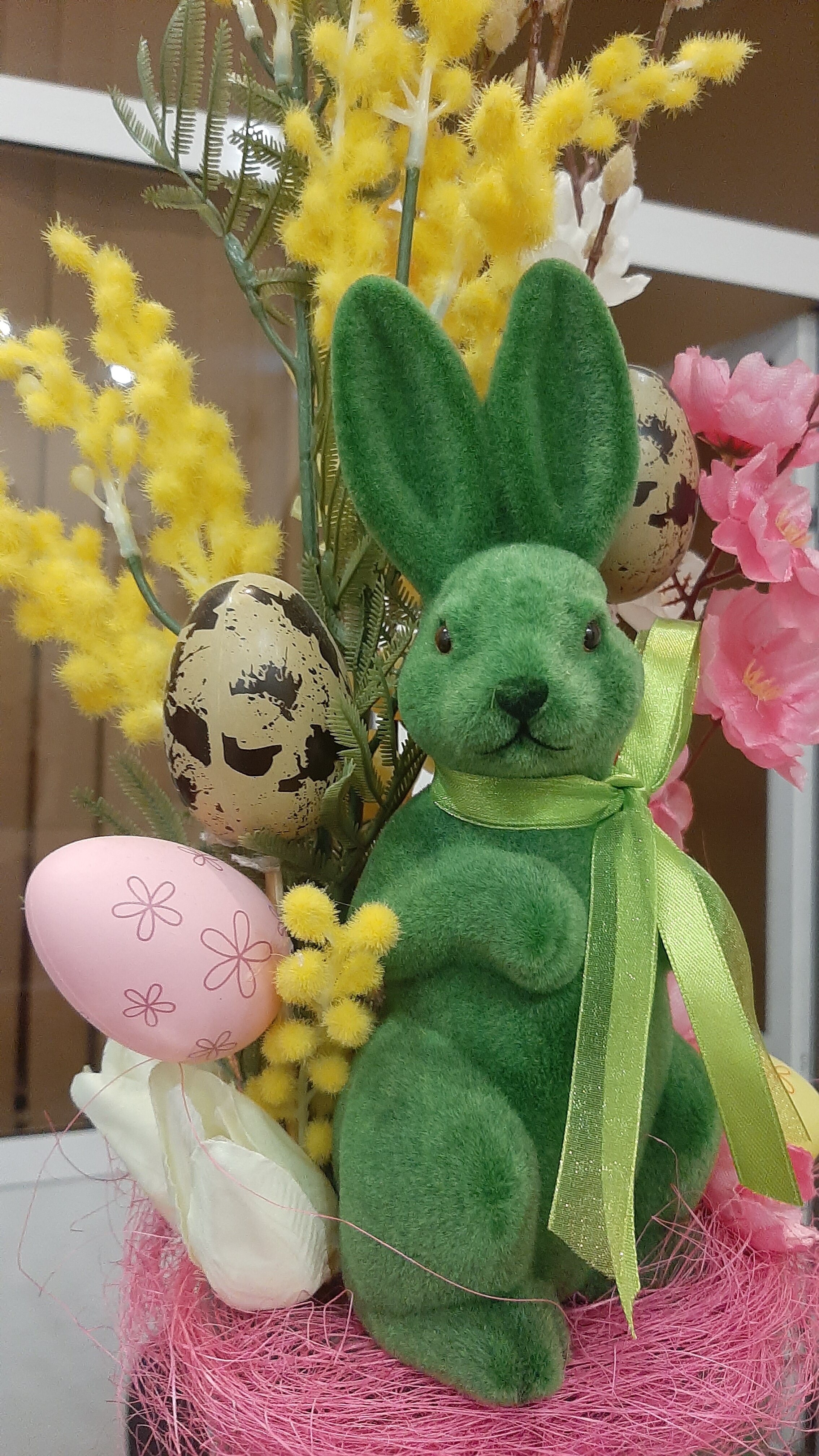 Фото Континент