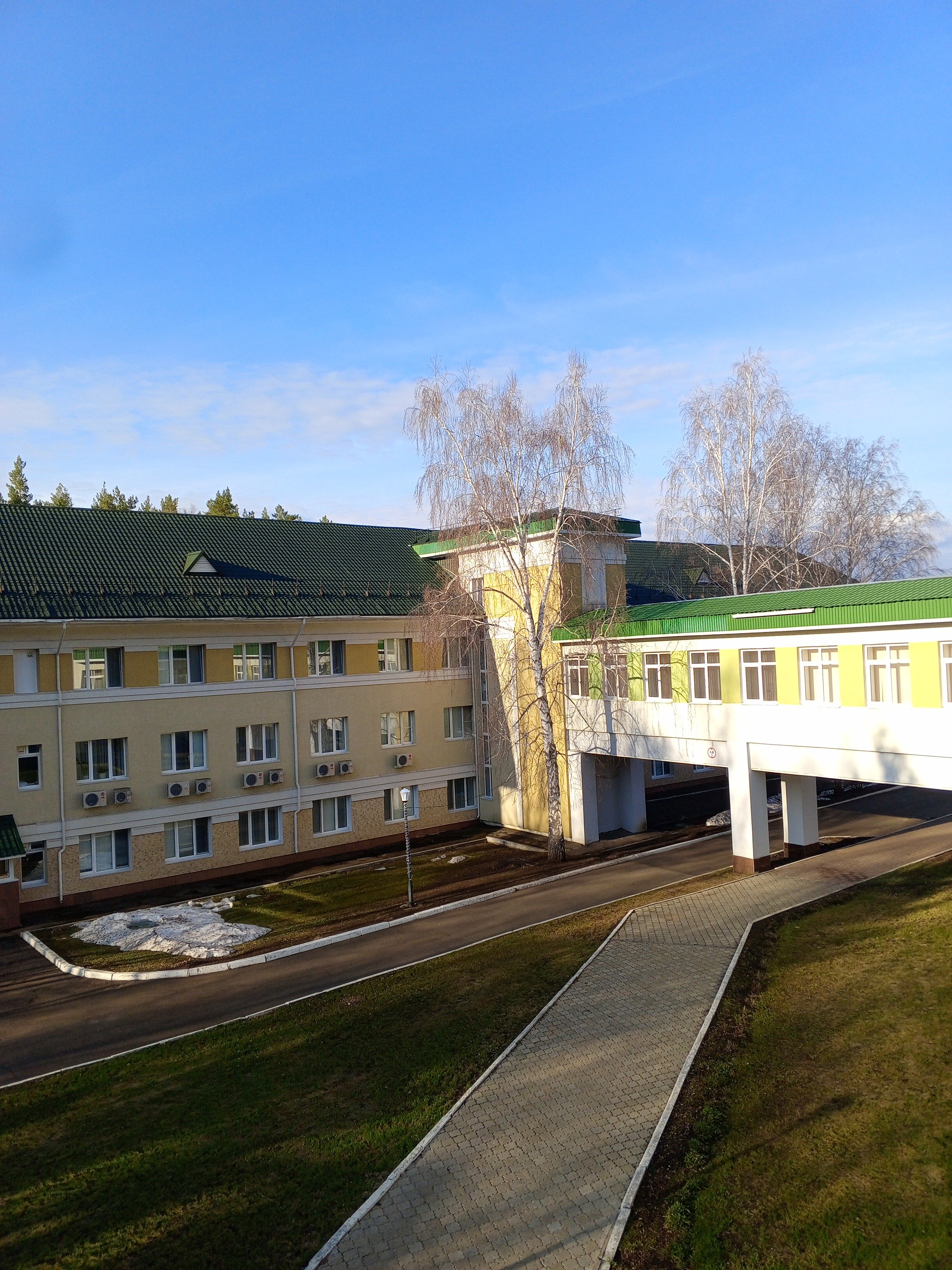 Фото Ромашкино