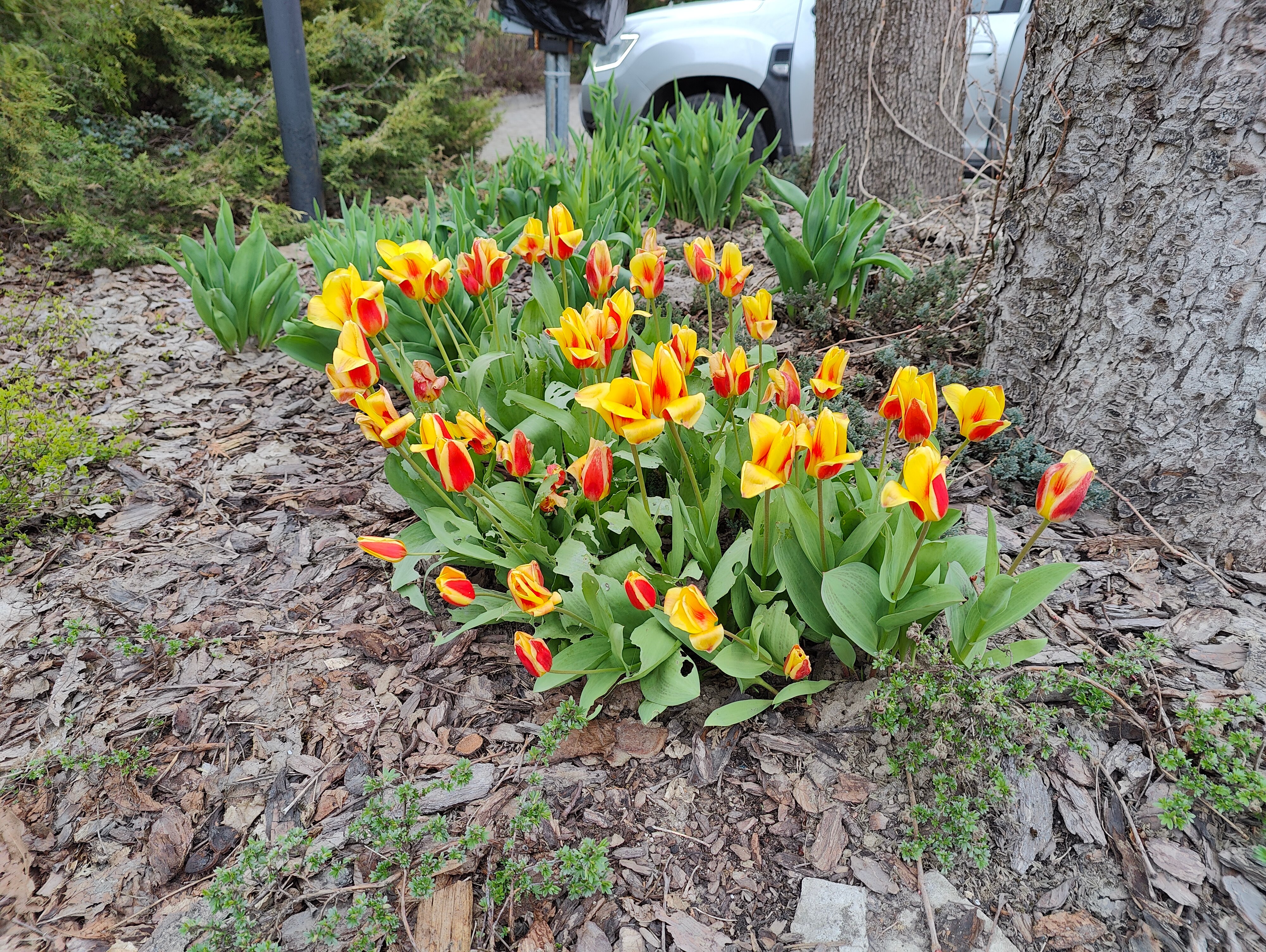 Фото Old Estate Hotel & SPA