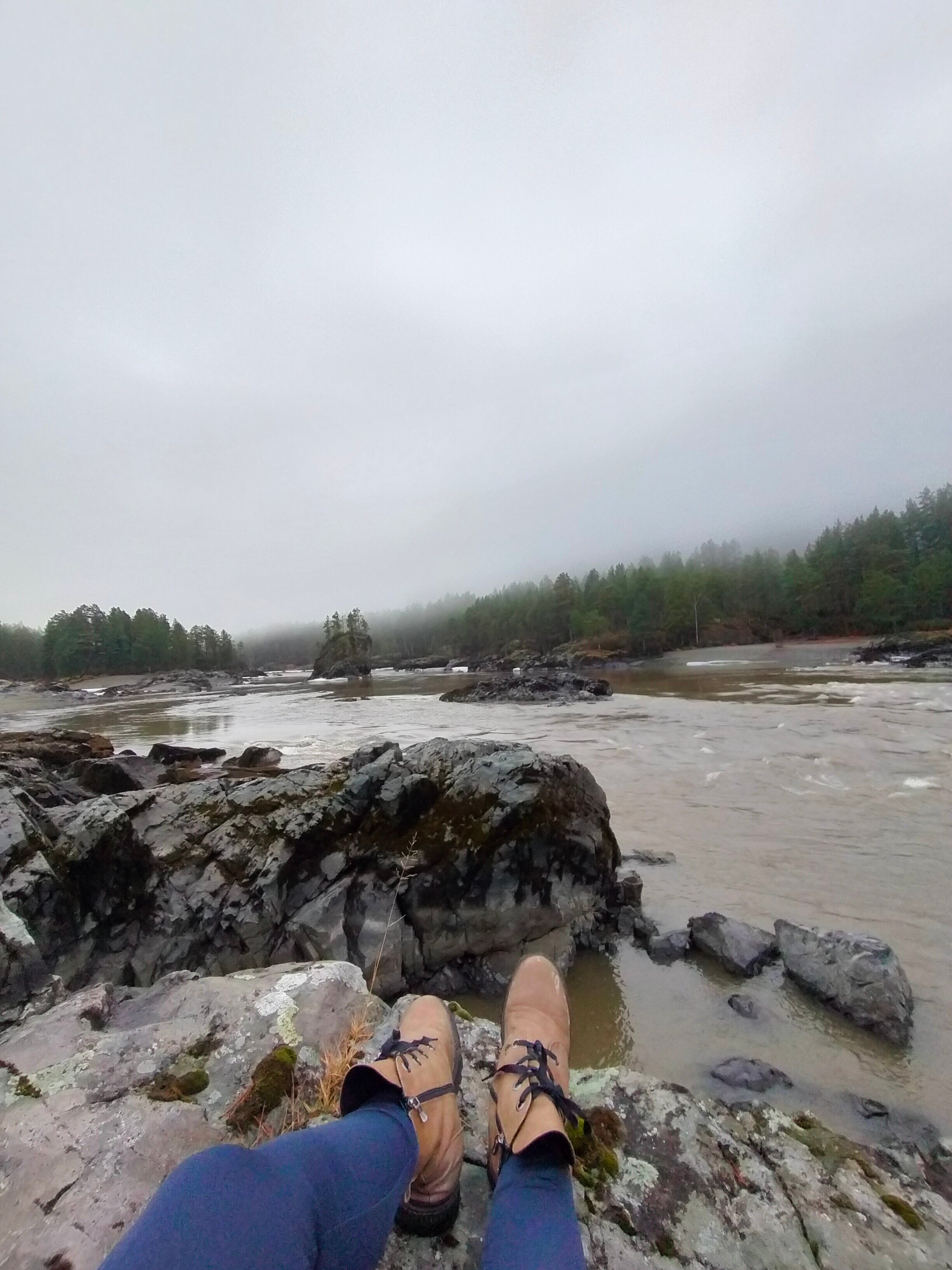 Фото Кедровый остров