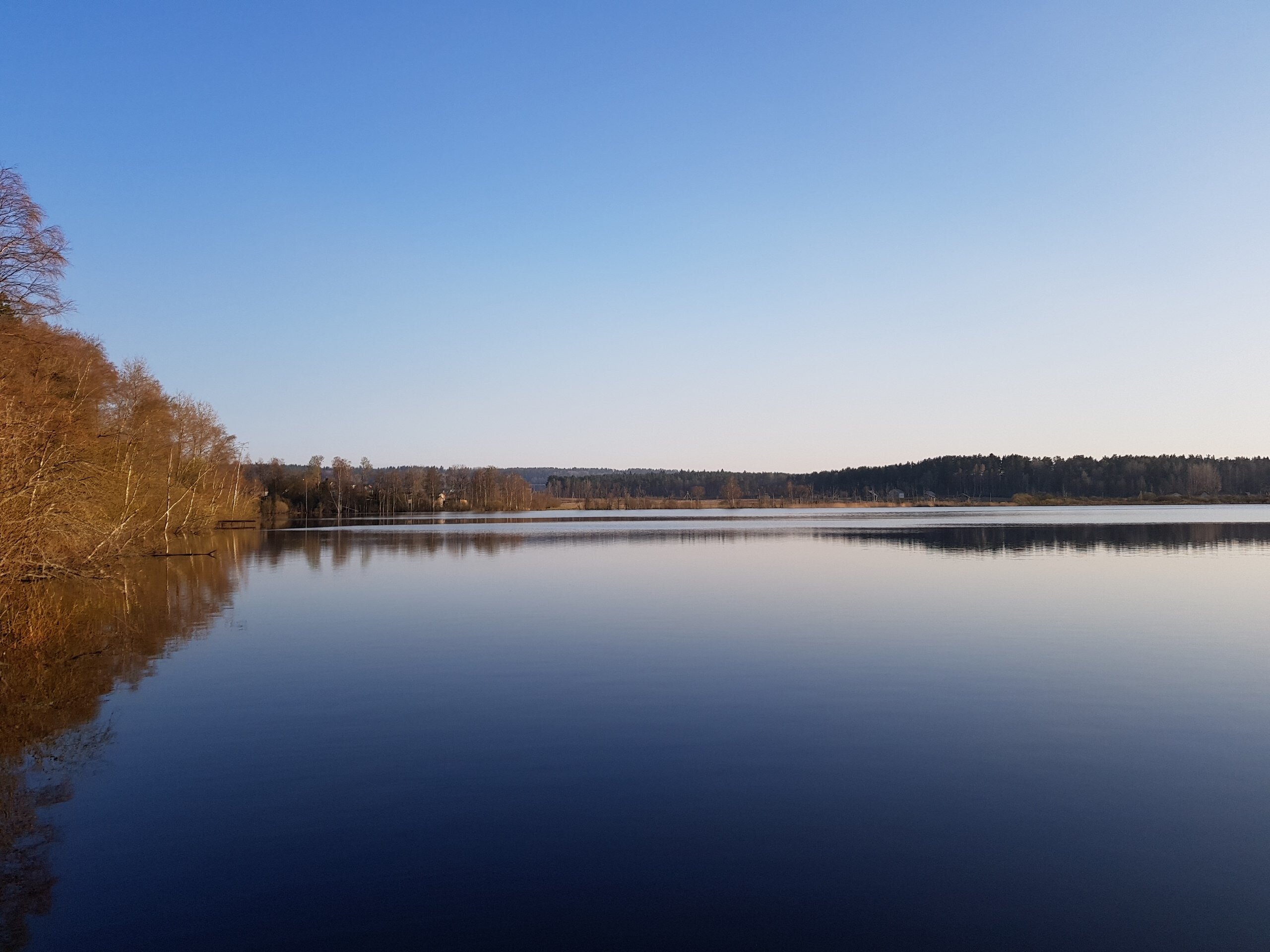 Фото Ласточкино гнездо