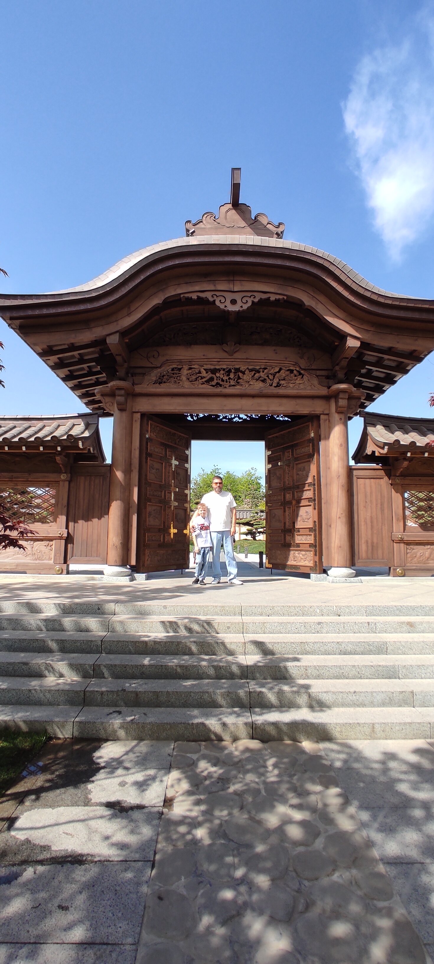 Фото Ласточка