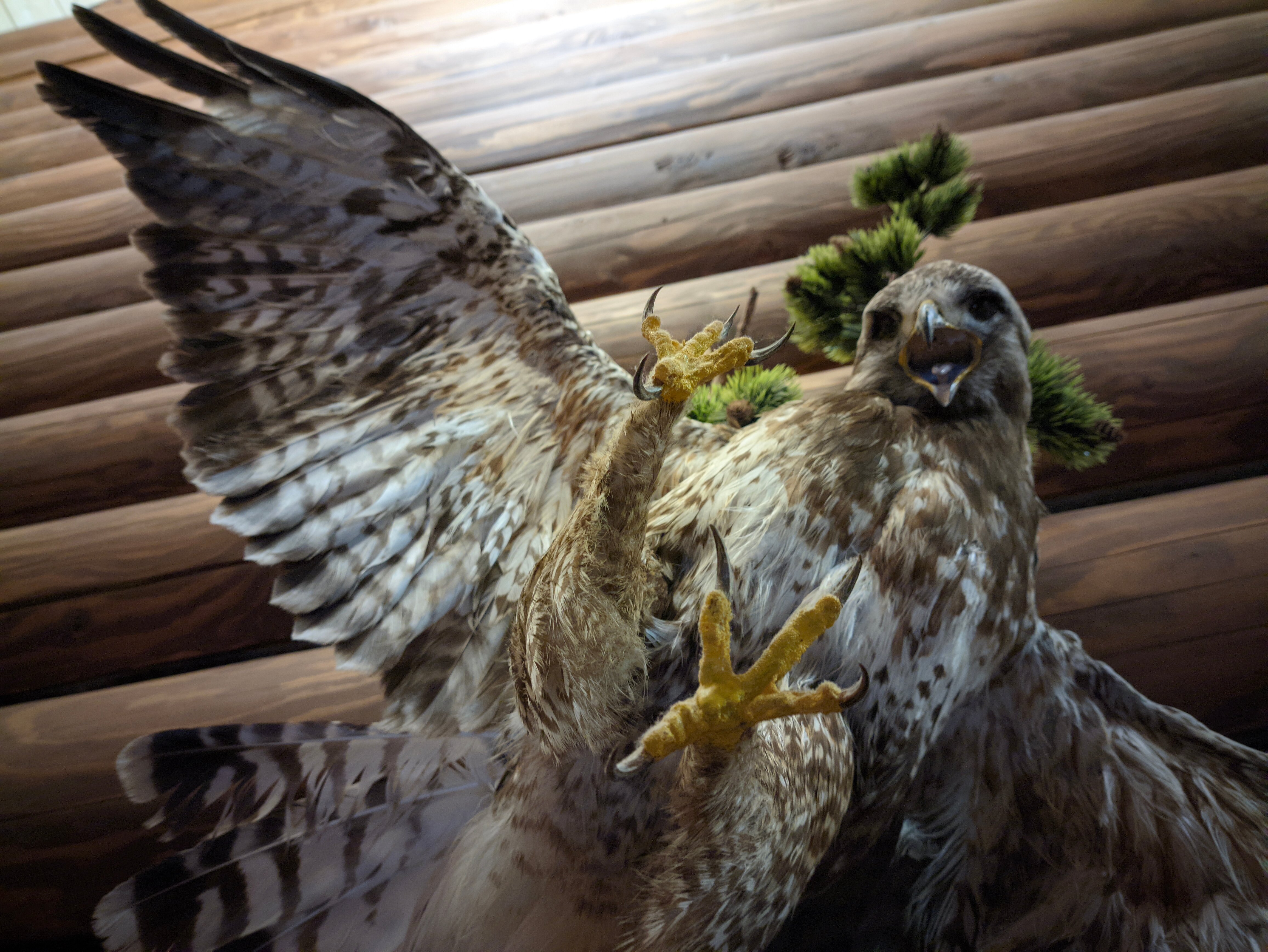 Фото Мышкин двор Барабановъ