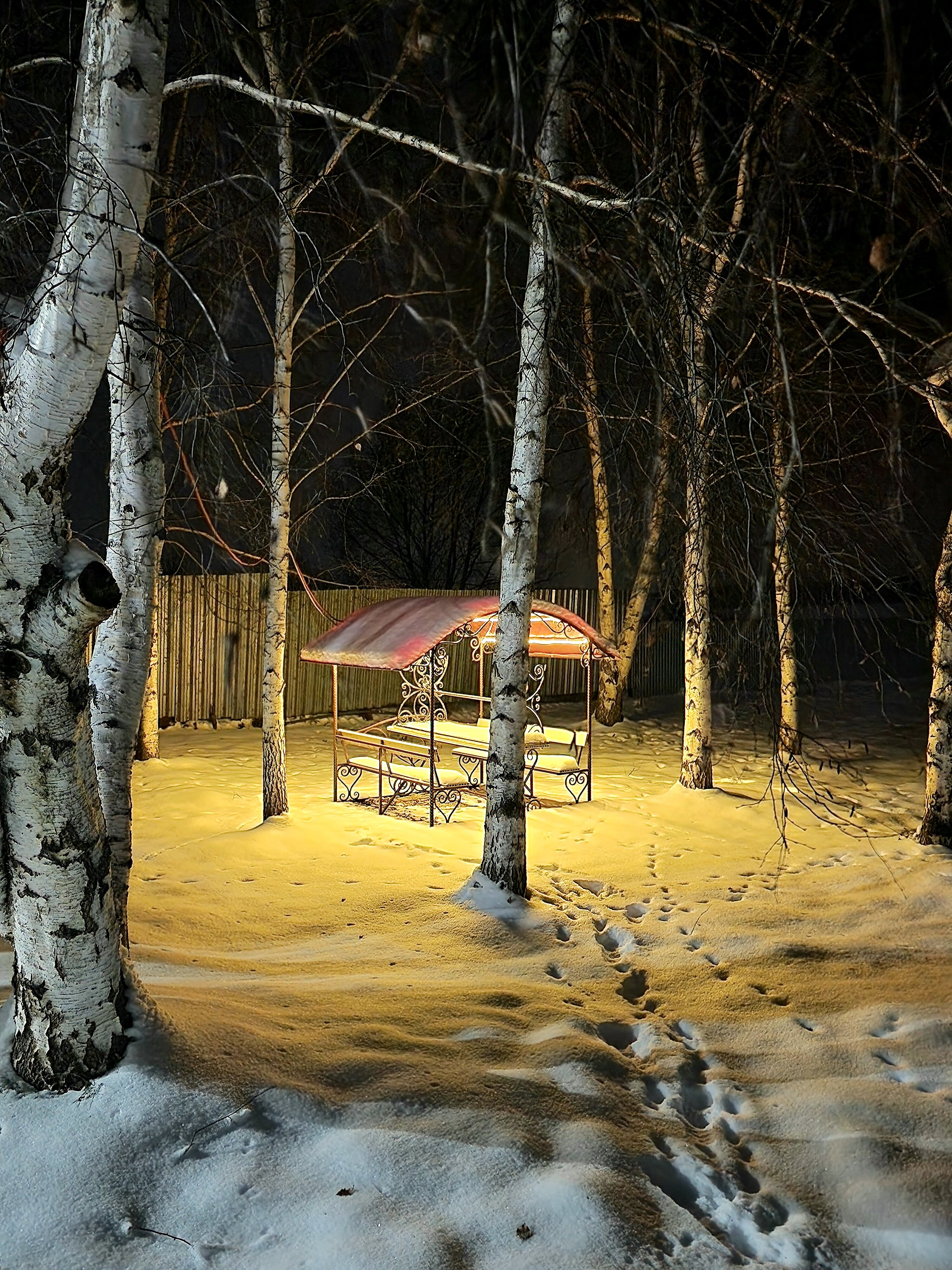 Фото Берёзка Кандрыкуль