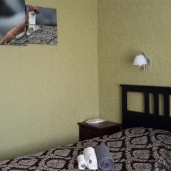 Фото Аврора