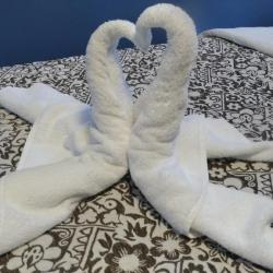 Фото Тарлеон