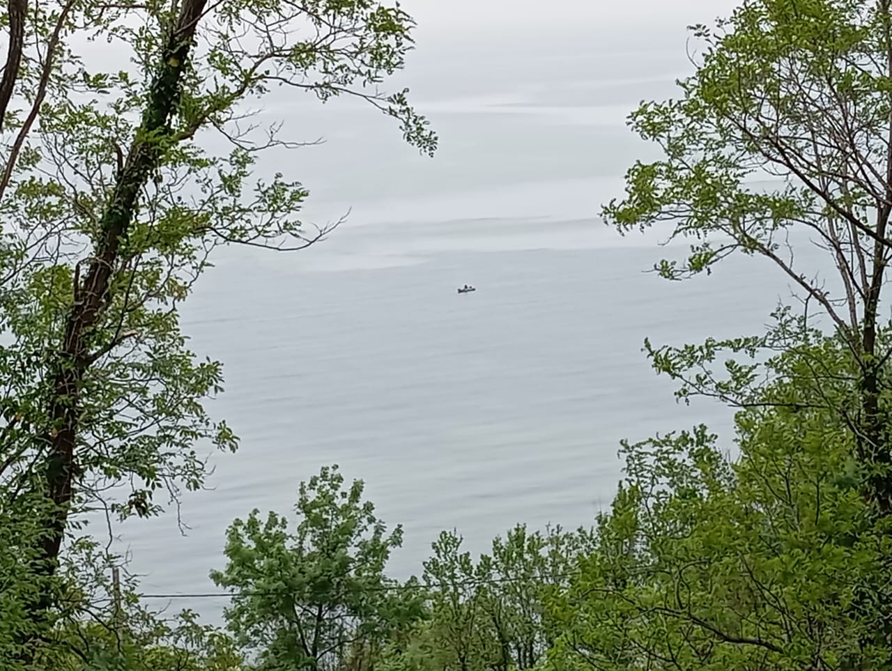 Фото Лайнер