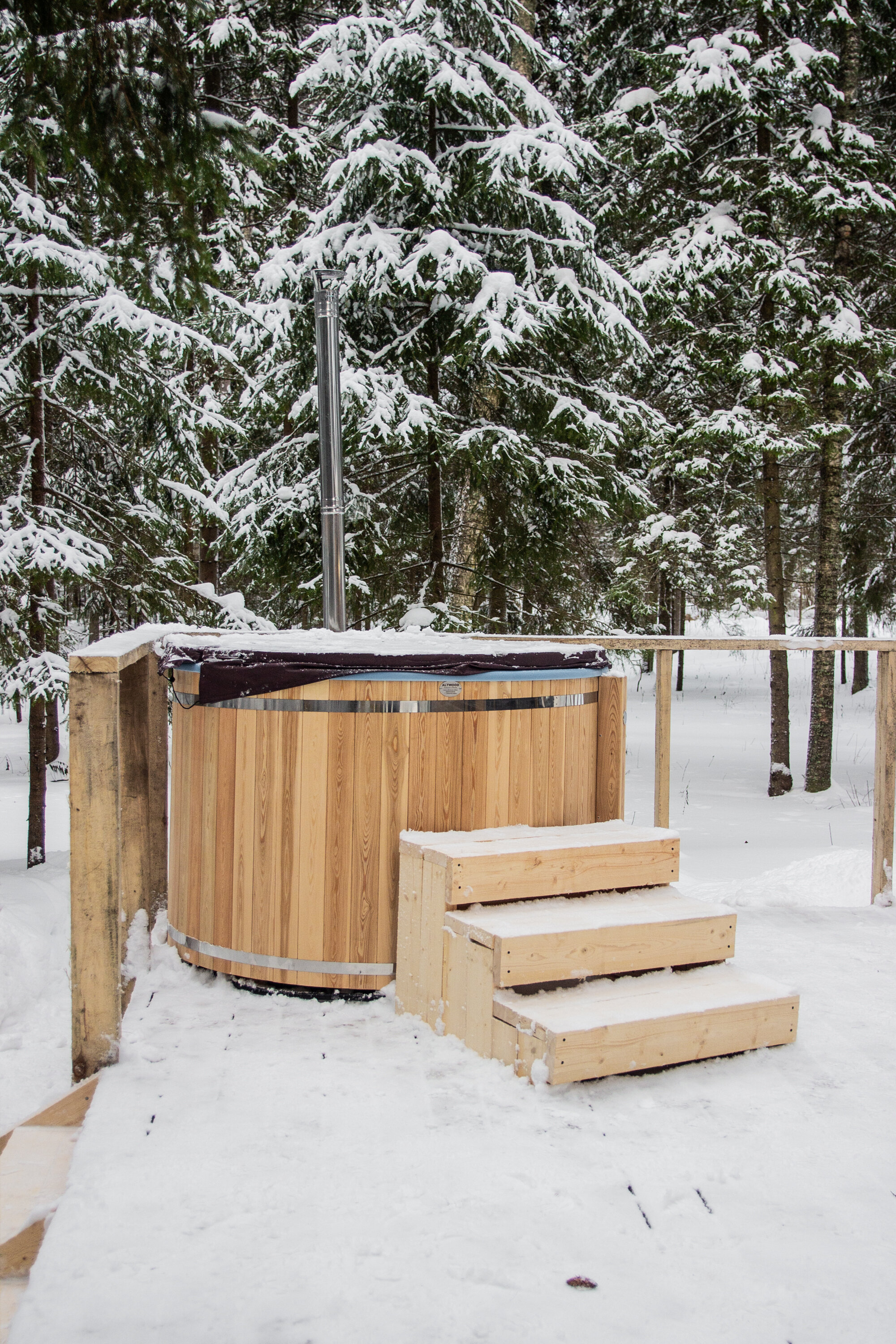 Фото Лесная тропа