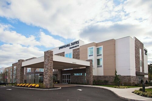 Гостиница Springhill Suites Somerset Franklin Township