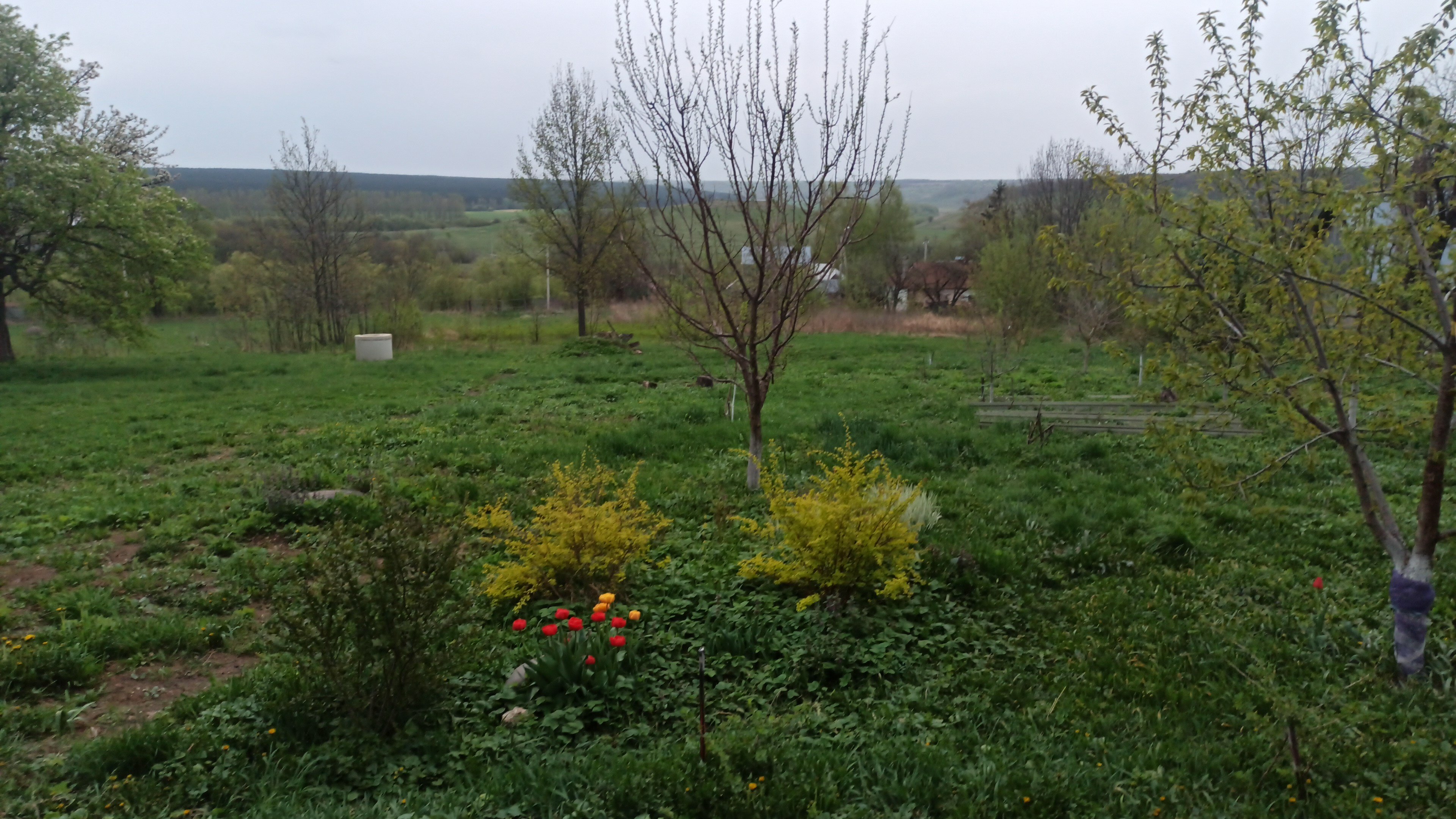 Фото Дом Хвостова