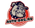 Автодог (Komsomolskaya ulitsa, 9), tienda de repuestos y artículos para automóviles