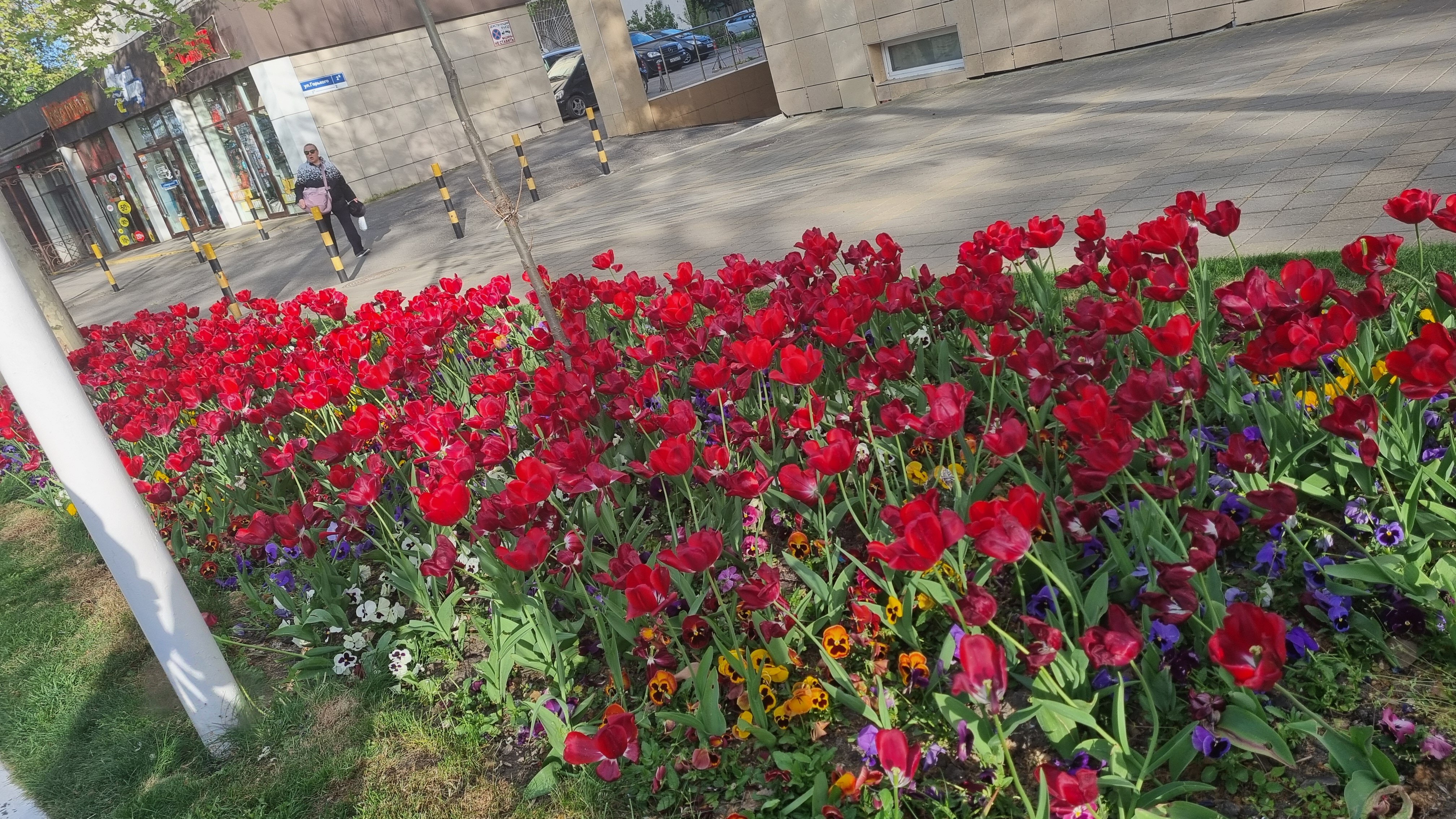 Фото Отель Анапа Лазурная