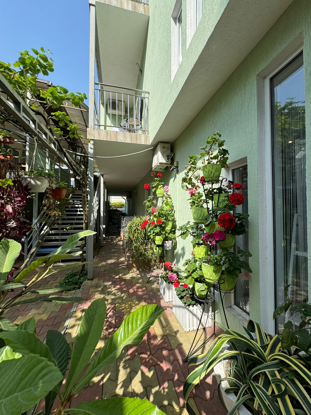 Фото Тростник