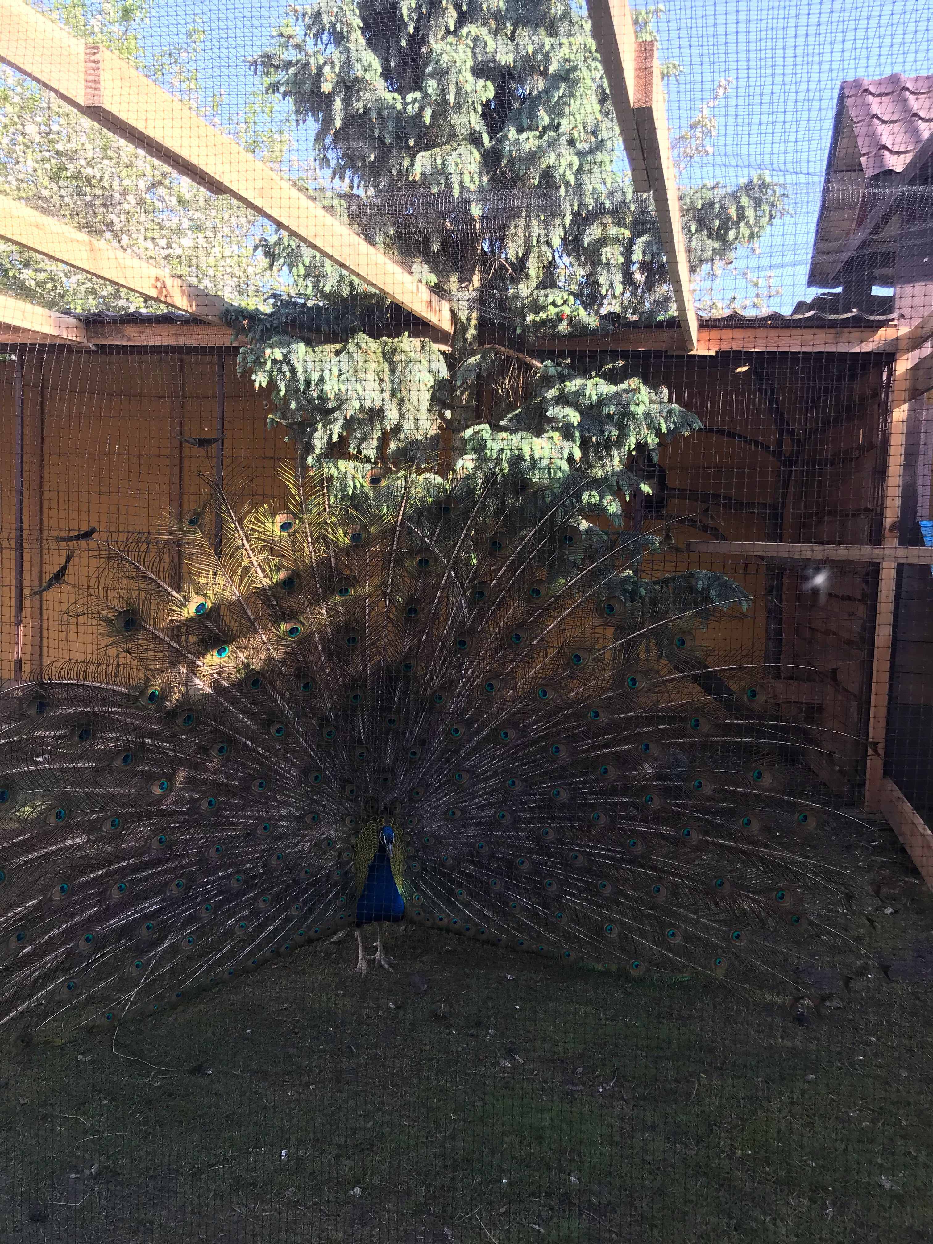 Фото Прибрежный