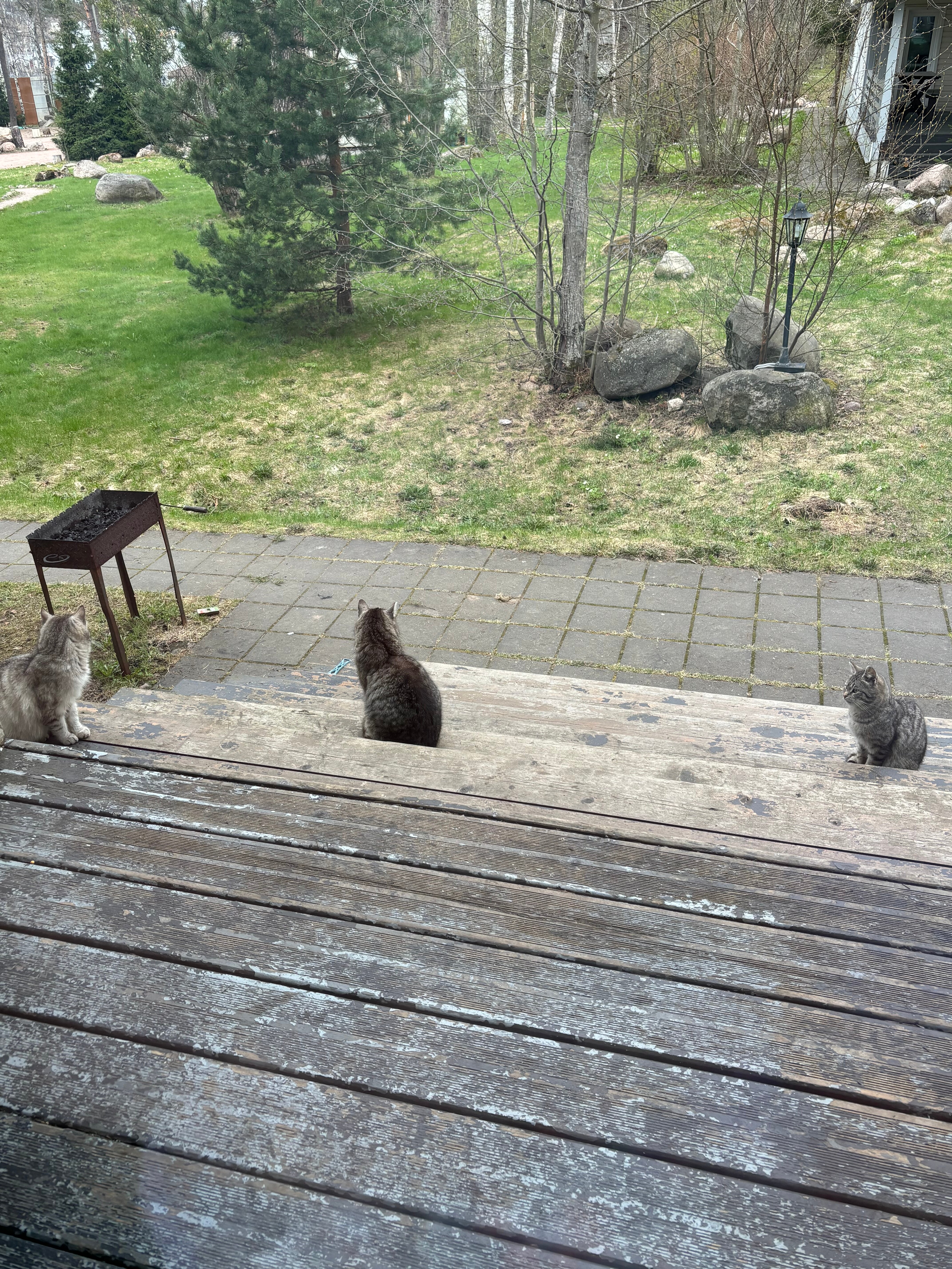 Фото Лосевода