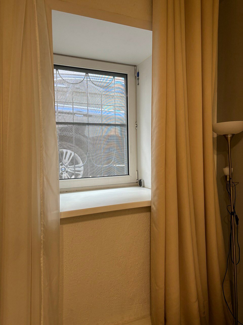 Фото Бегемот