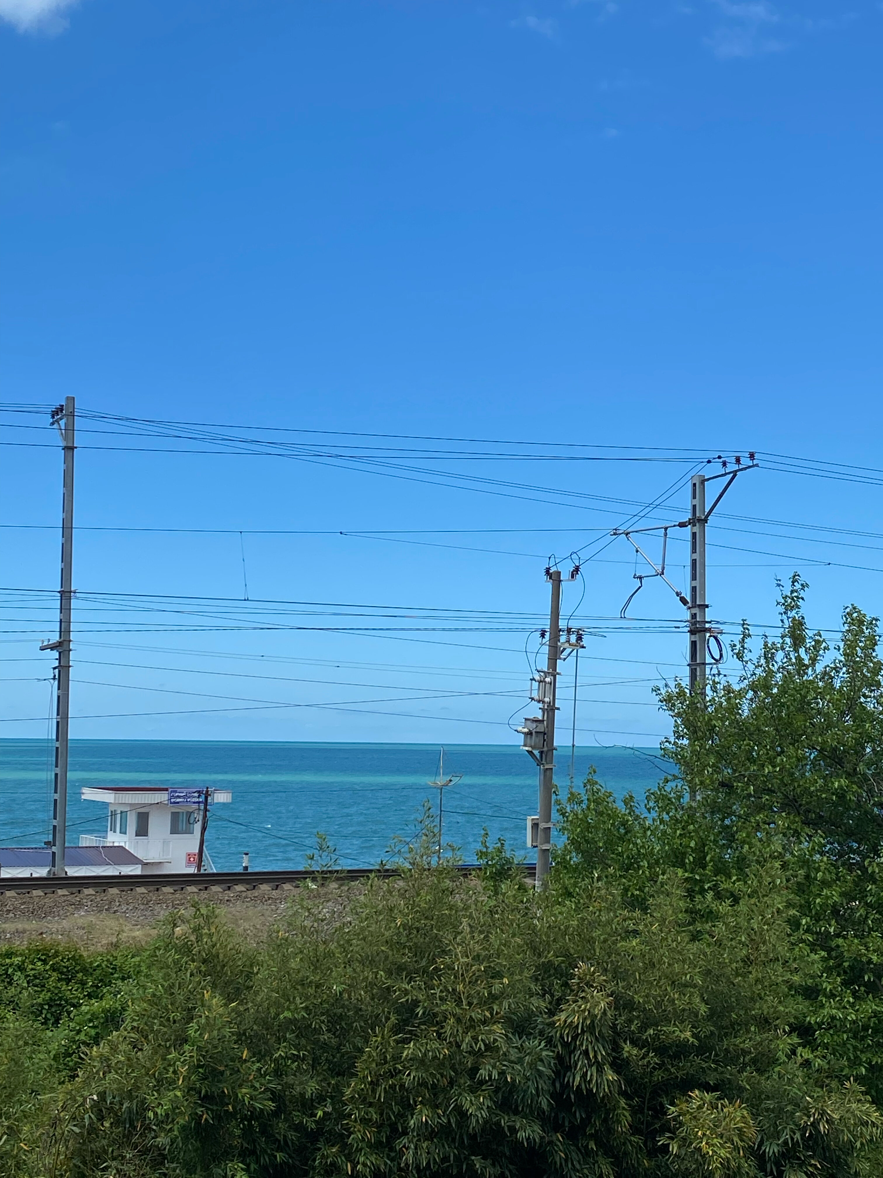 Фото Роза Ветров