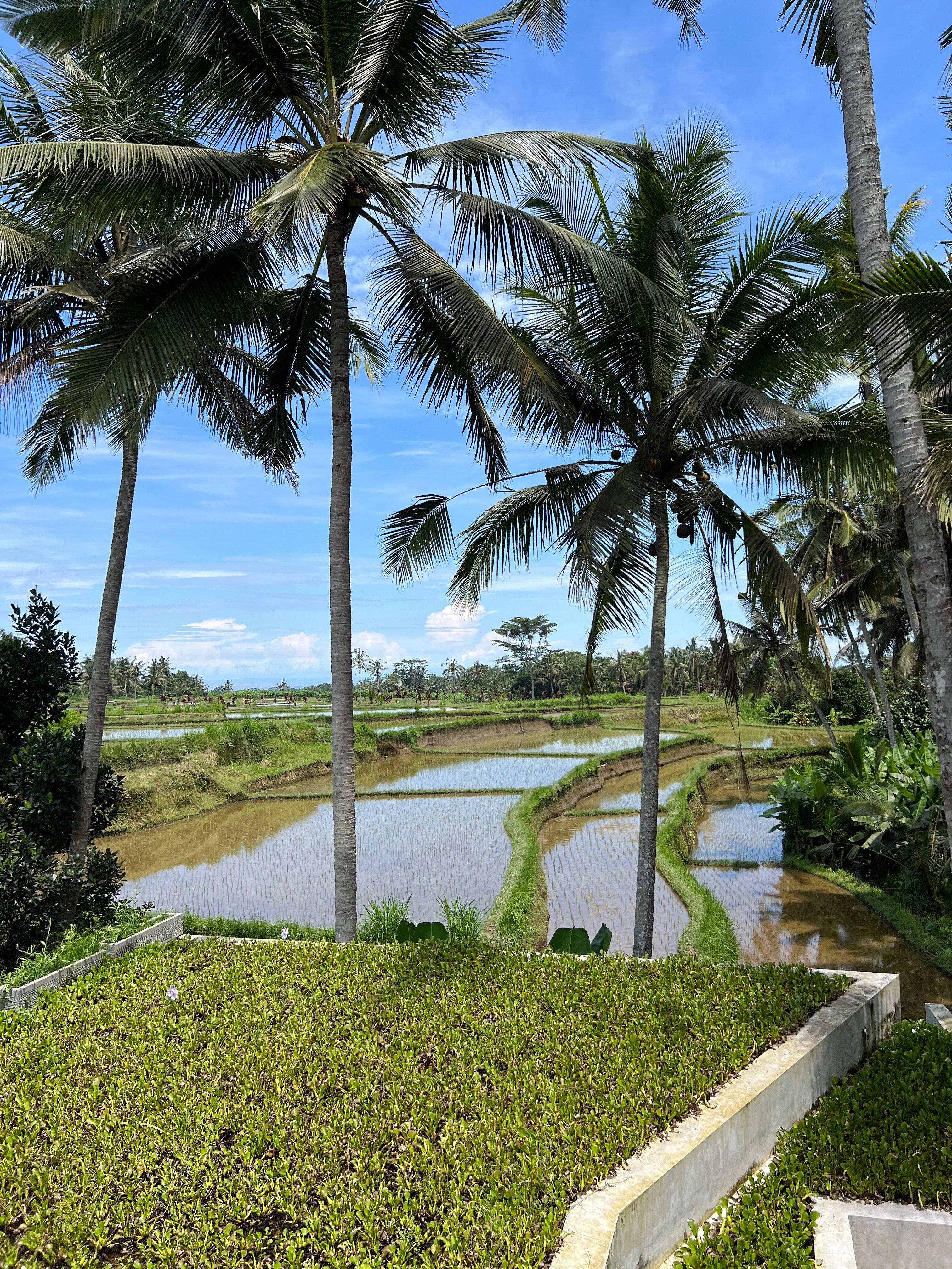 Фото Amnaya Resort Kuta