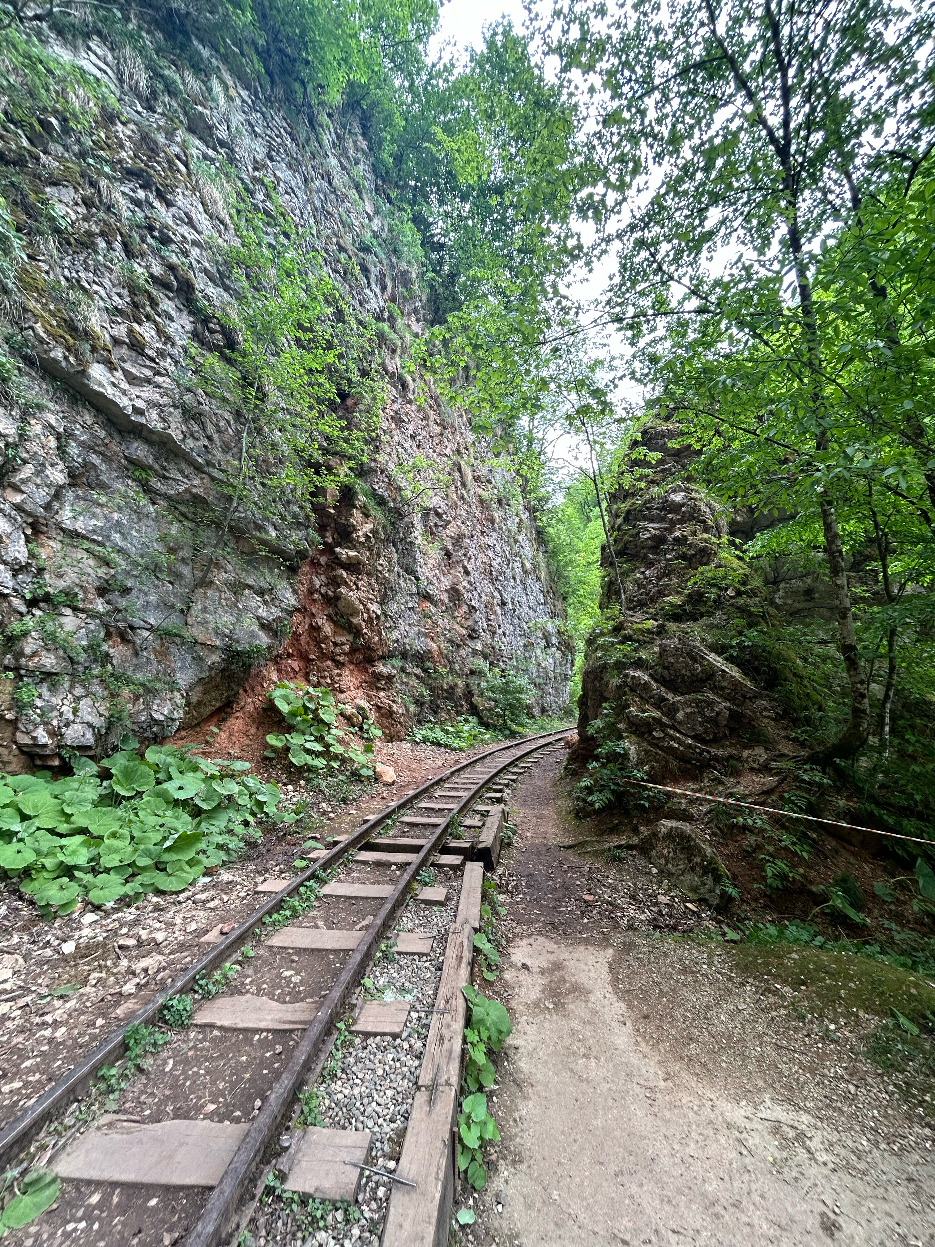 Фото Мезмай