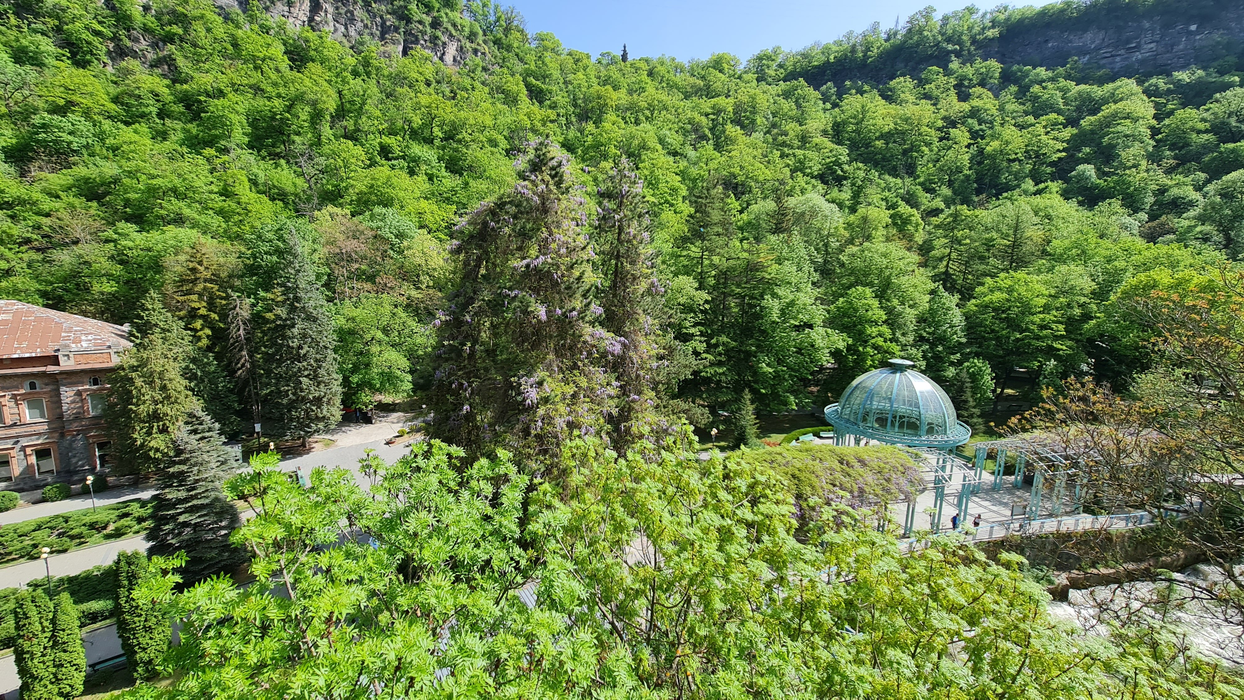 Фото Crowne Plaza Borjomi 
