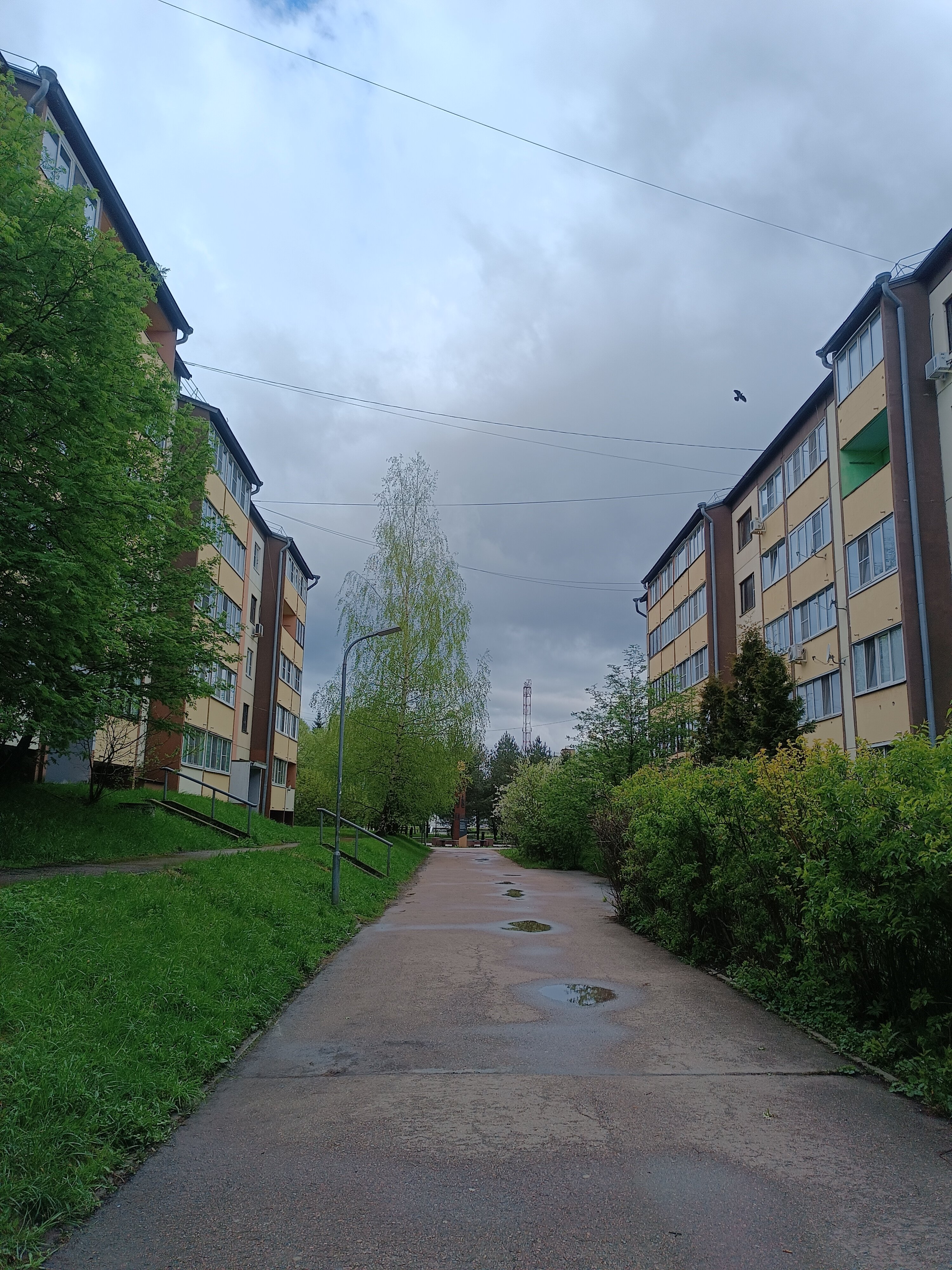 Фото Маршал