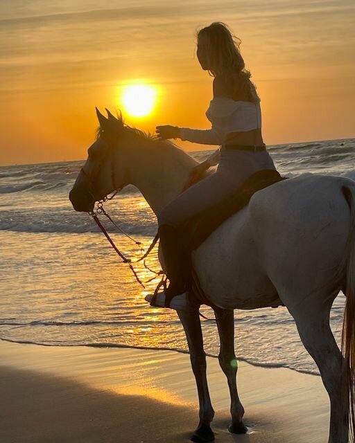 Horse riding Horse Paradise, Emirate of Dubai, photo