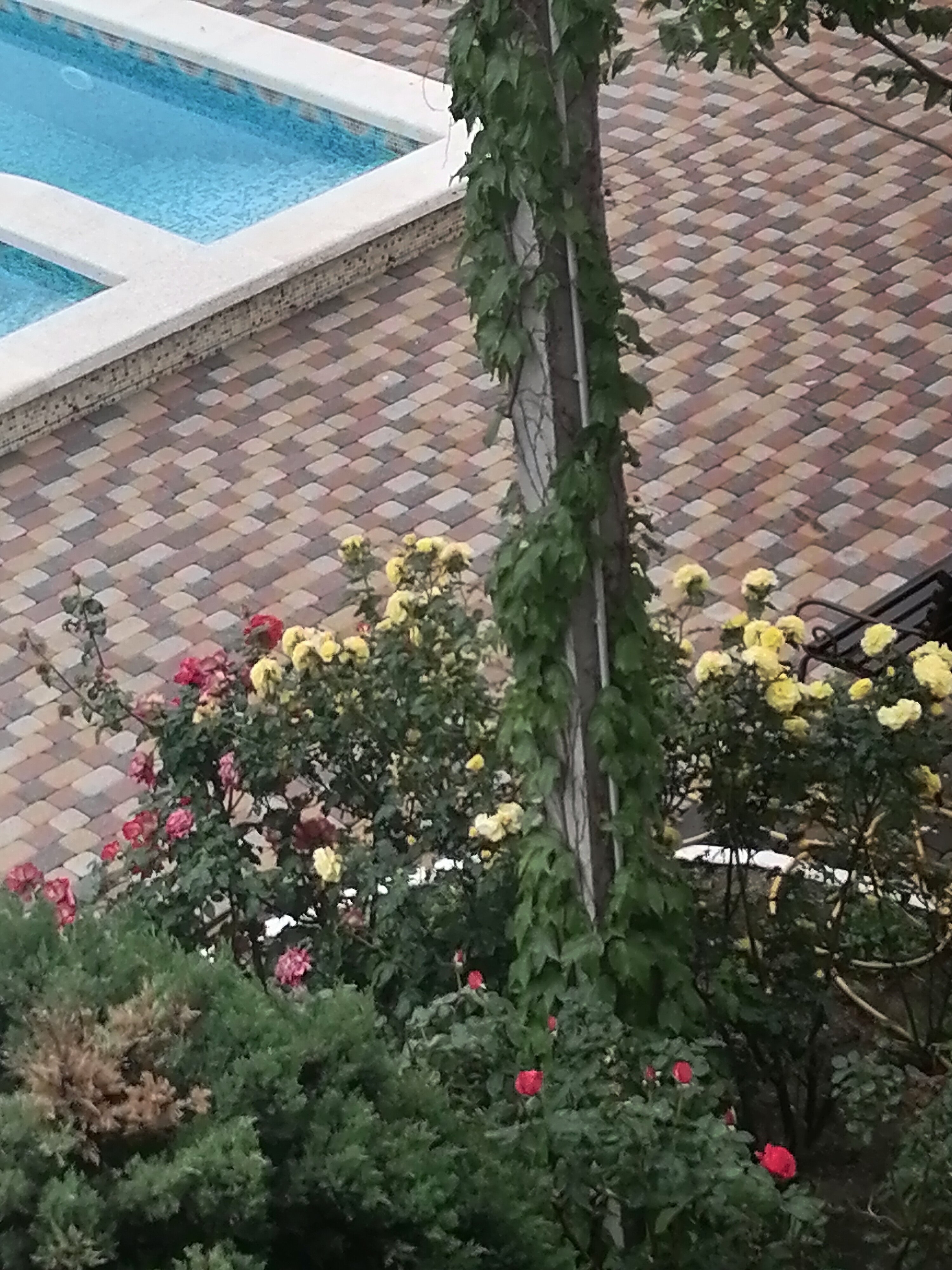 Фото Бумеранг