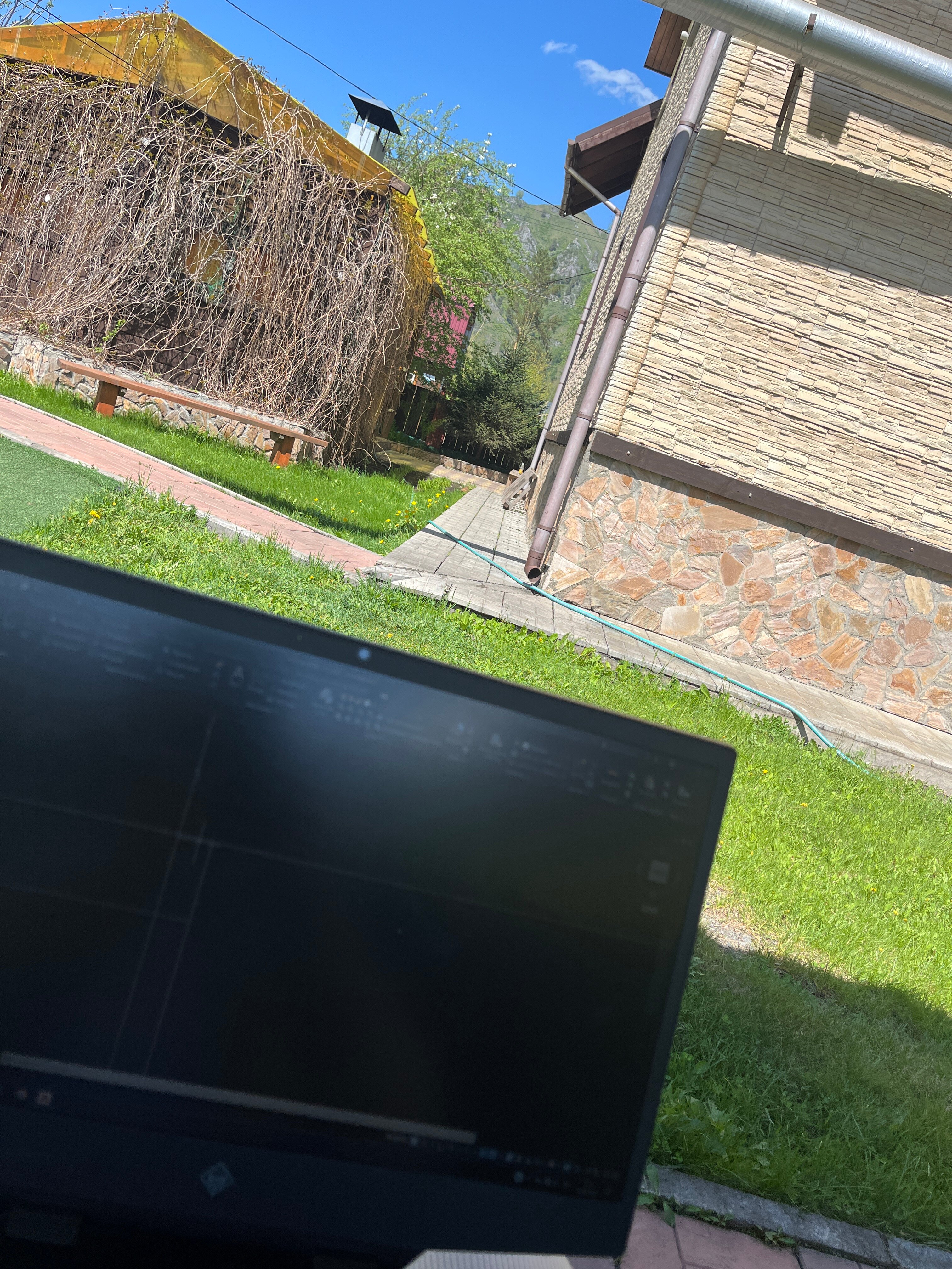 Фото Тёщина роща