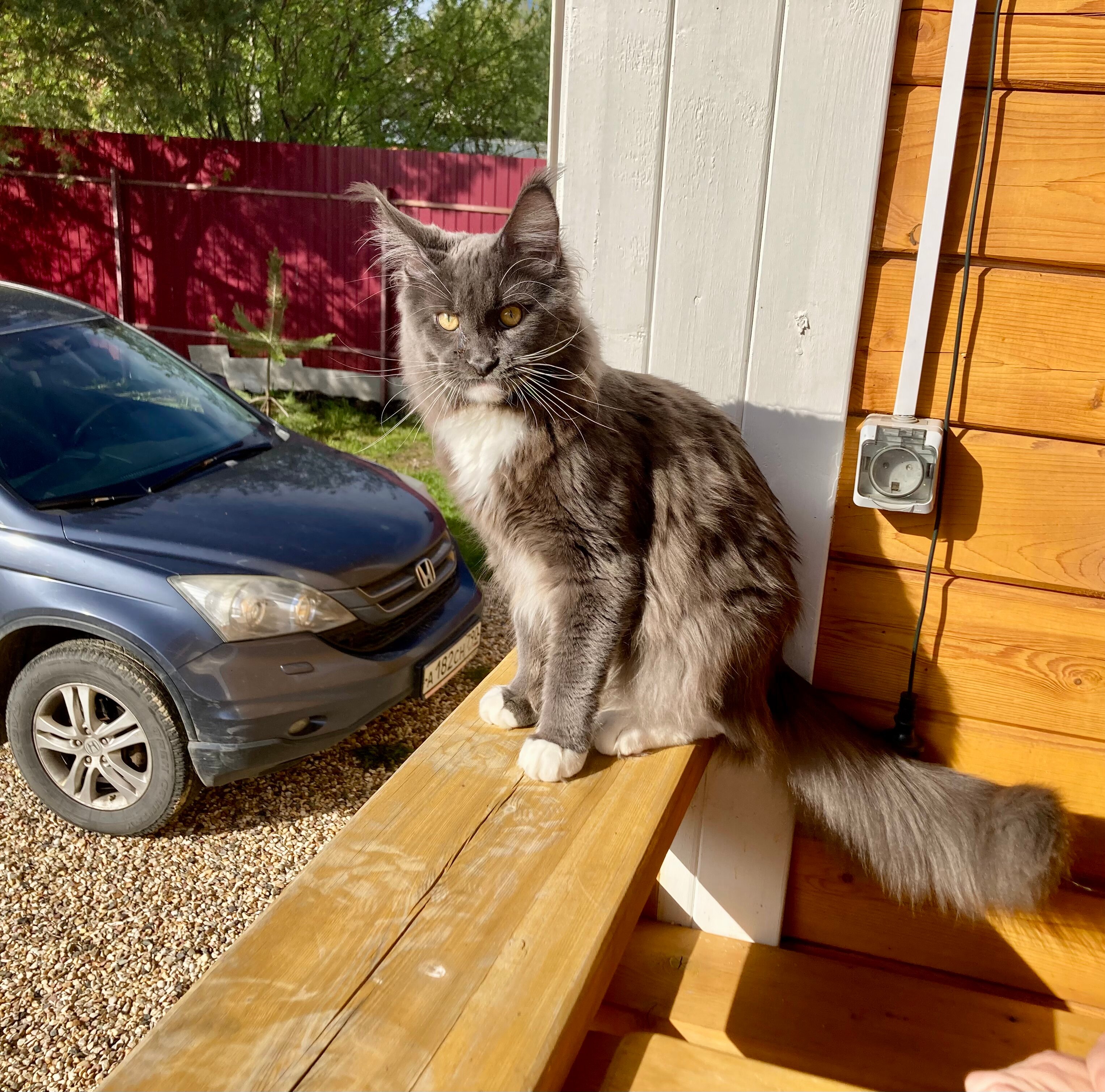 Фото Непросто дача