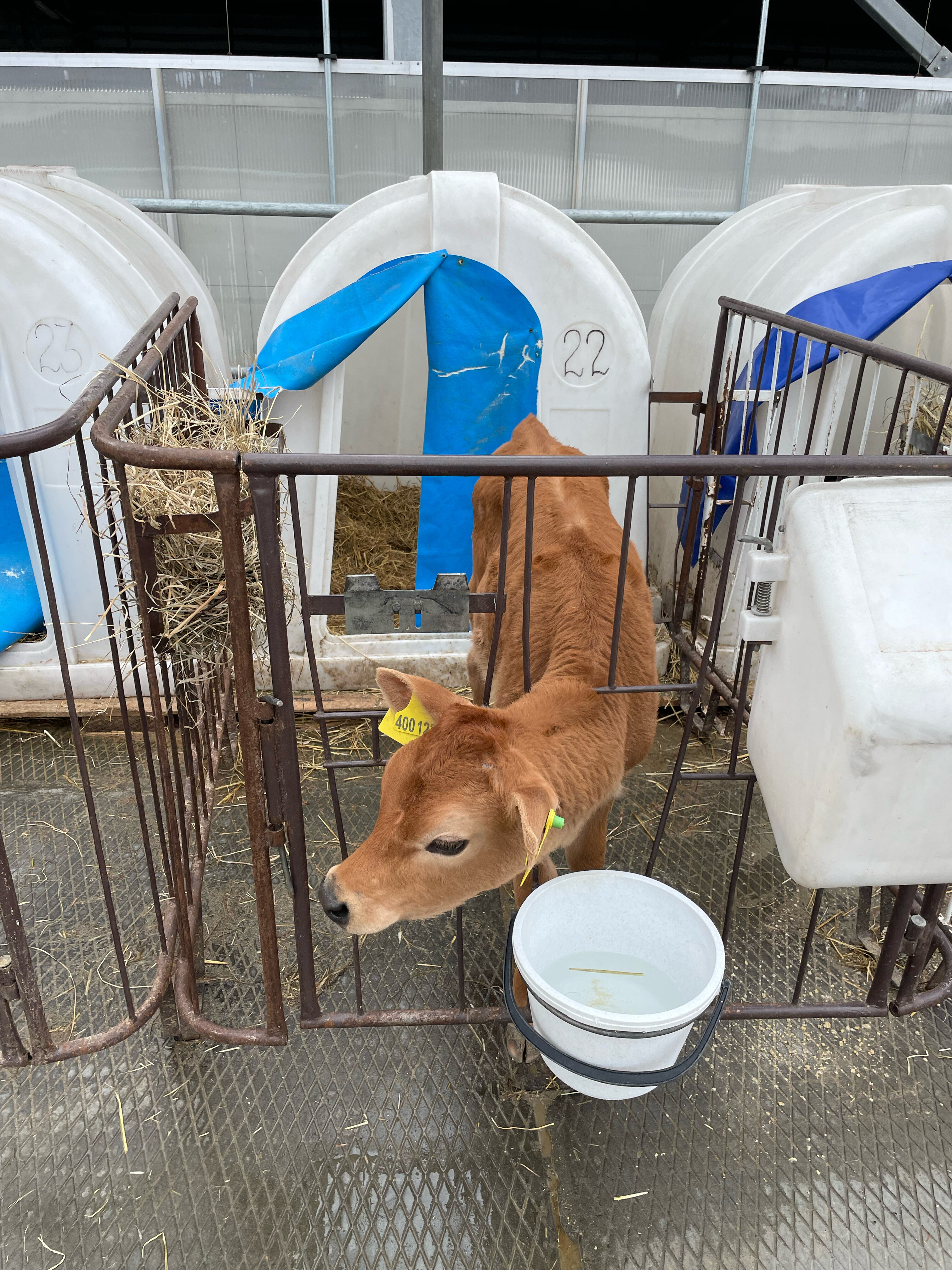 Фото Центр эко туризма Ферма М2