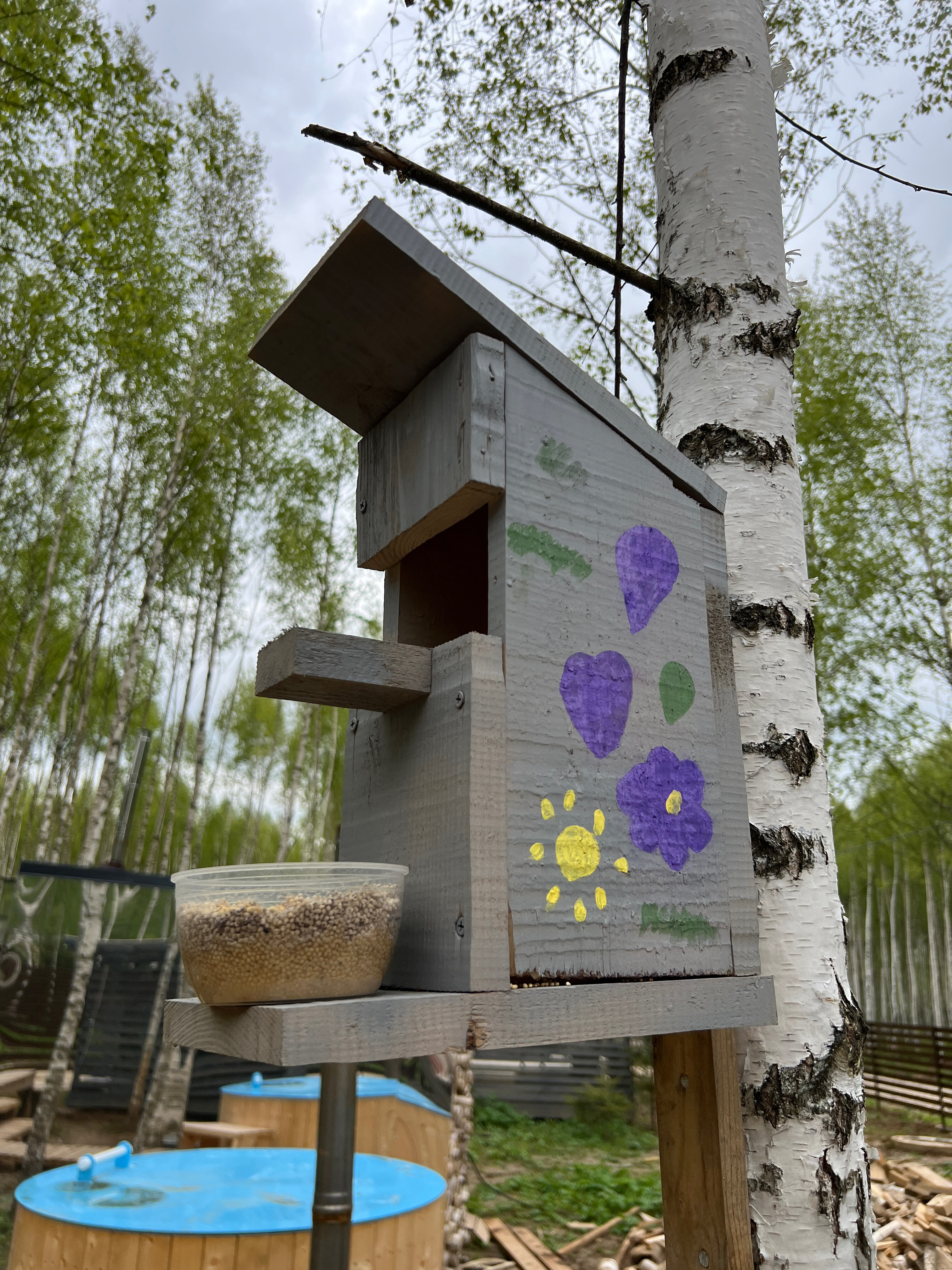 Фото Мы Дома- Зеркальный лес