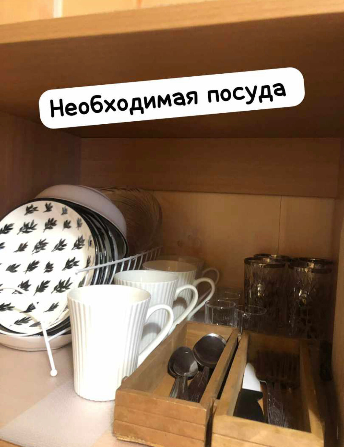 Фото Аврора