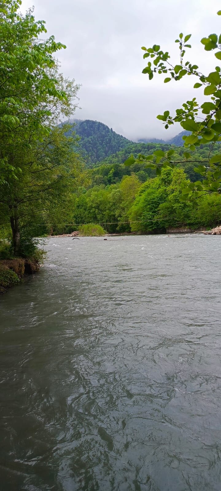 Фото Горный родник