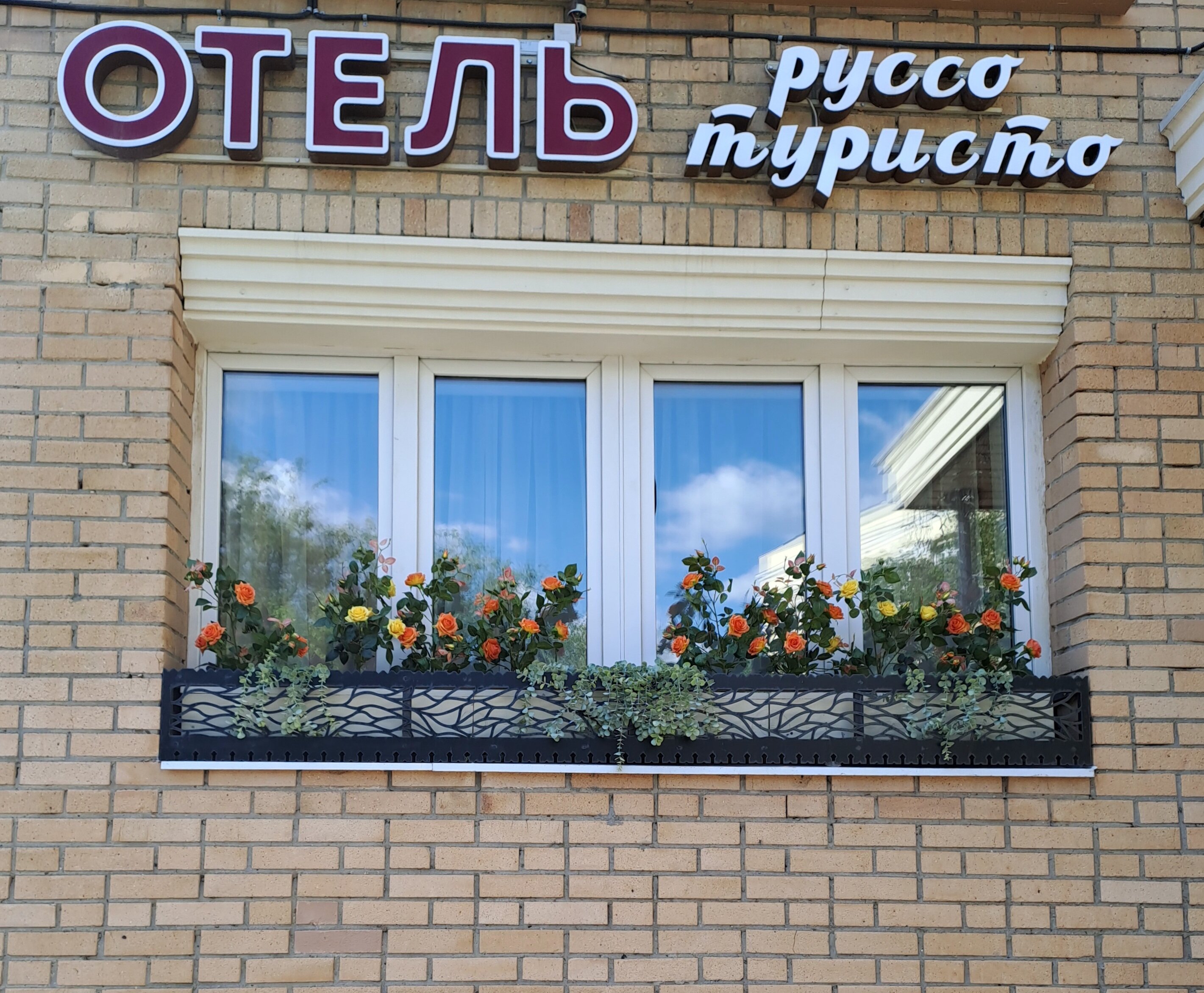 Фото Руссо туристо