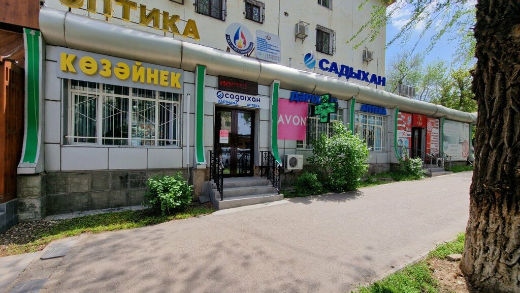 Opticial store Taraz Optika, Taraz, photo