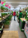 Агрос (Трудовая ул., 1), магазин семян в Новосибирске