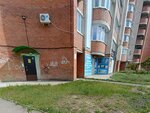 Рассвет (Pobedy Boulevard, 51), hoa, junta directiva de snt