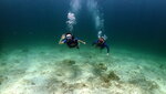 Credo Diving Phuket (Mueang Phuket, Chalong, Jaofa 39), diving