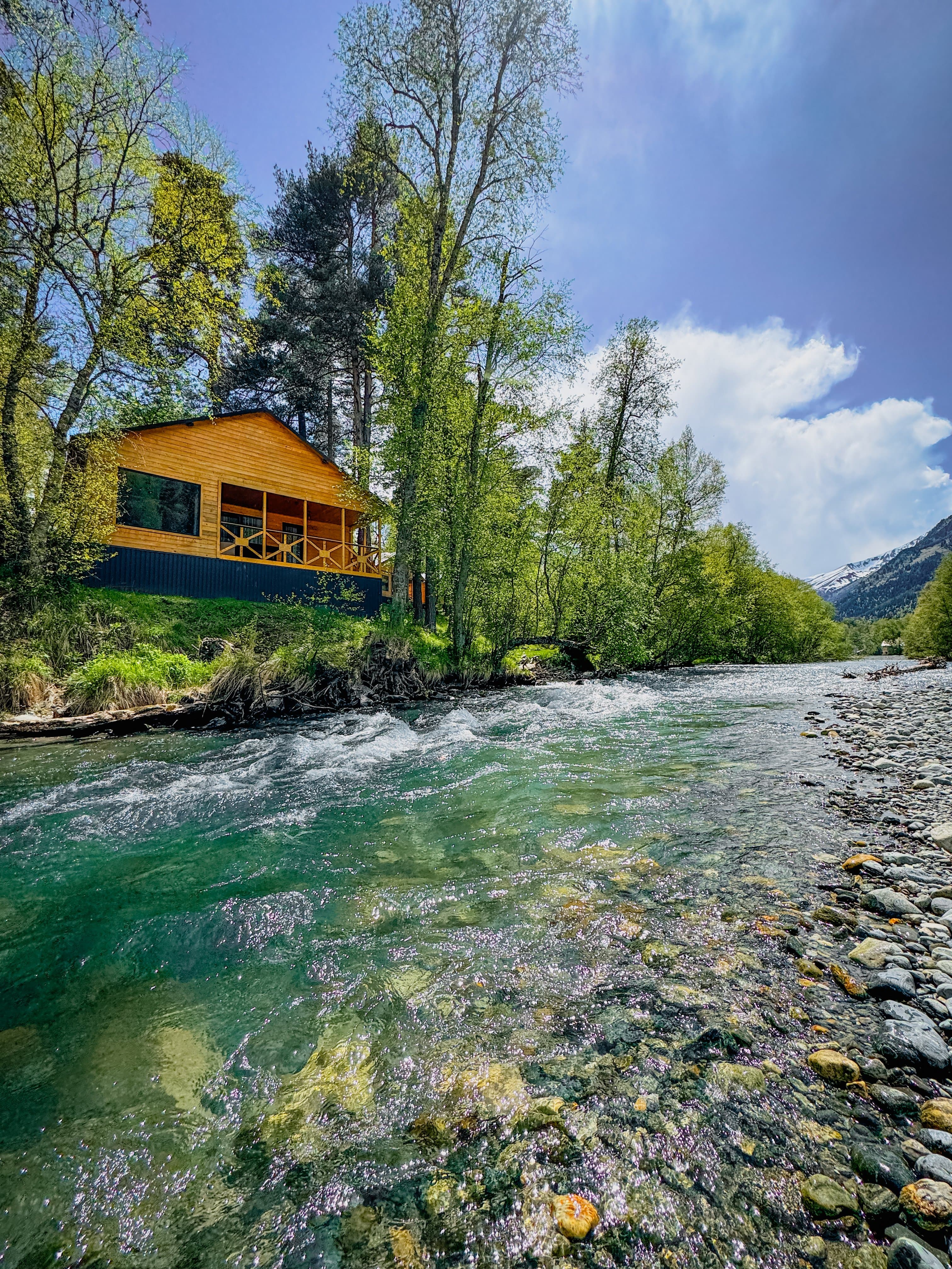 Фото Шале Хвоя