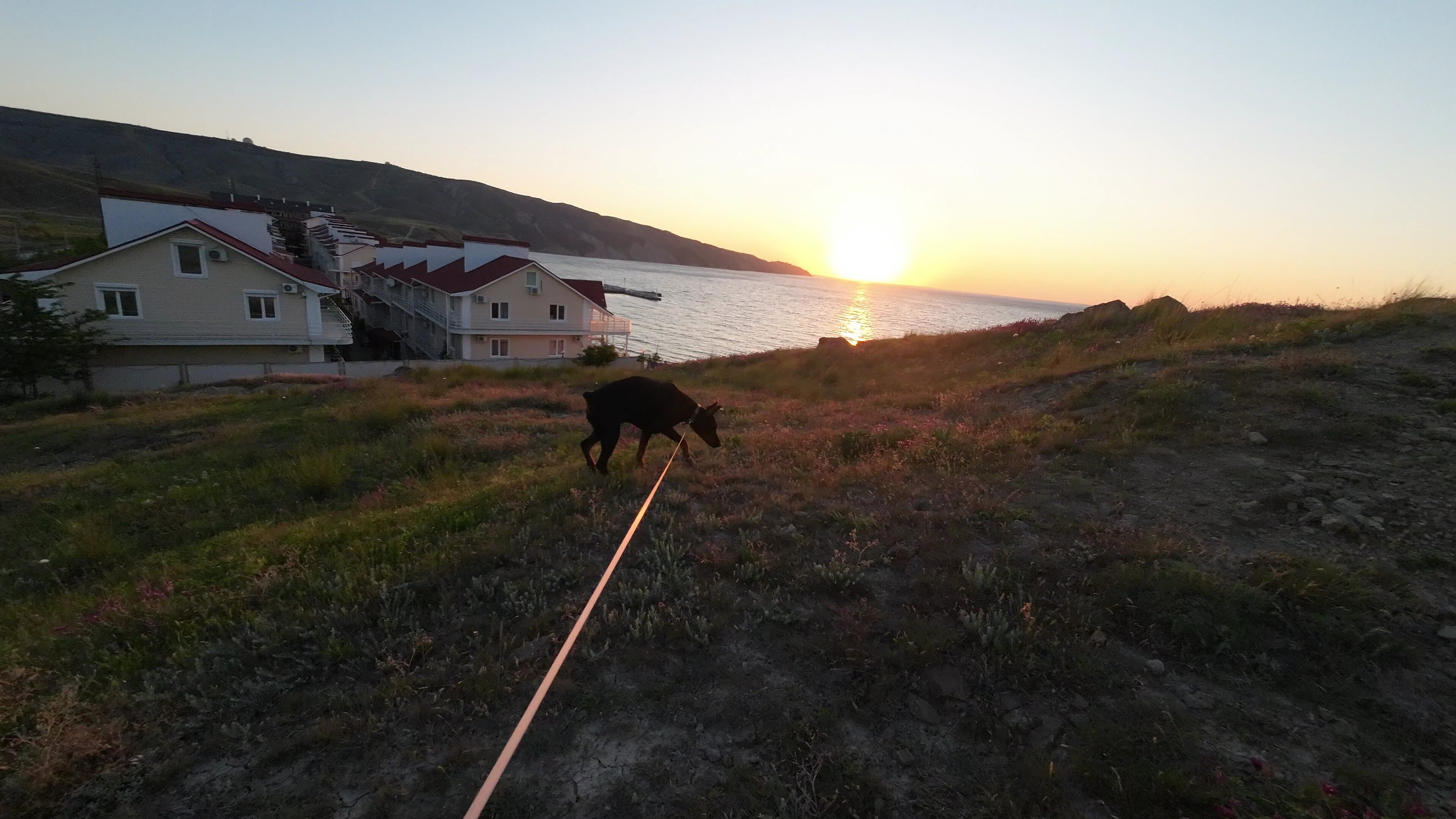 Фото Виктория