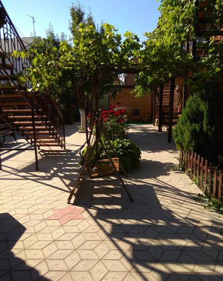 Фото Лесная быль