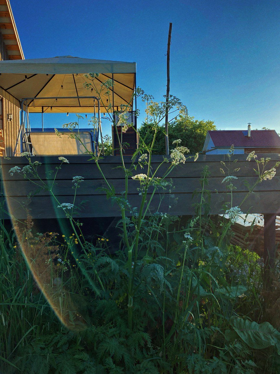 Фото Дом-Театр